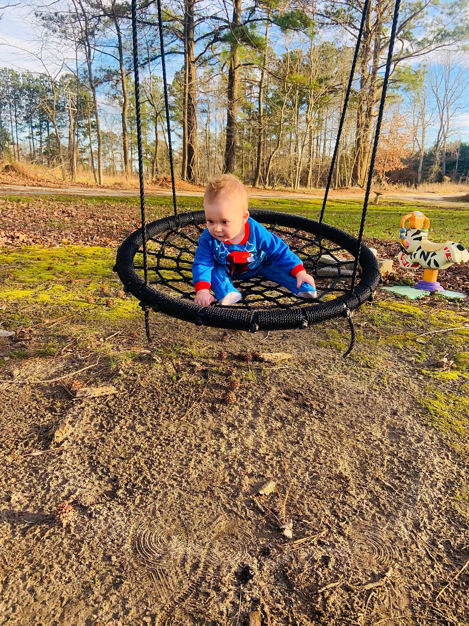Xavier joined the competition — help win amazing prizes! baby, cloud, forest, fun, grass, landscape, leisure, outdoor_play_equipment, outdoor_recreation, people_in_nature, person, plant, recreation, sitting, sky, soil, swing, toddler, tree, wood