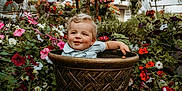Denver is registered to the contest to win money with this photo: toddler, child, flower_pot, flowers, garden, greenhouse, smile, curly_hair, blonde, plants, colorful, nature, pottery, cute, portrait, outdoor, baby, botanical, happy, sitting