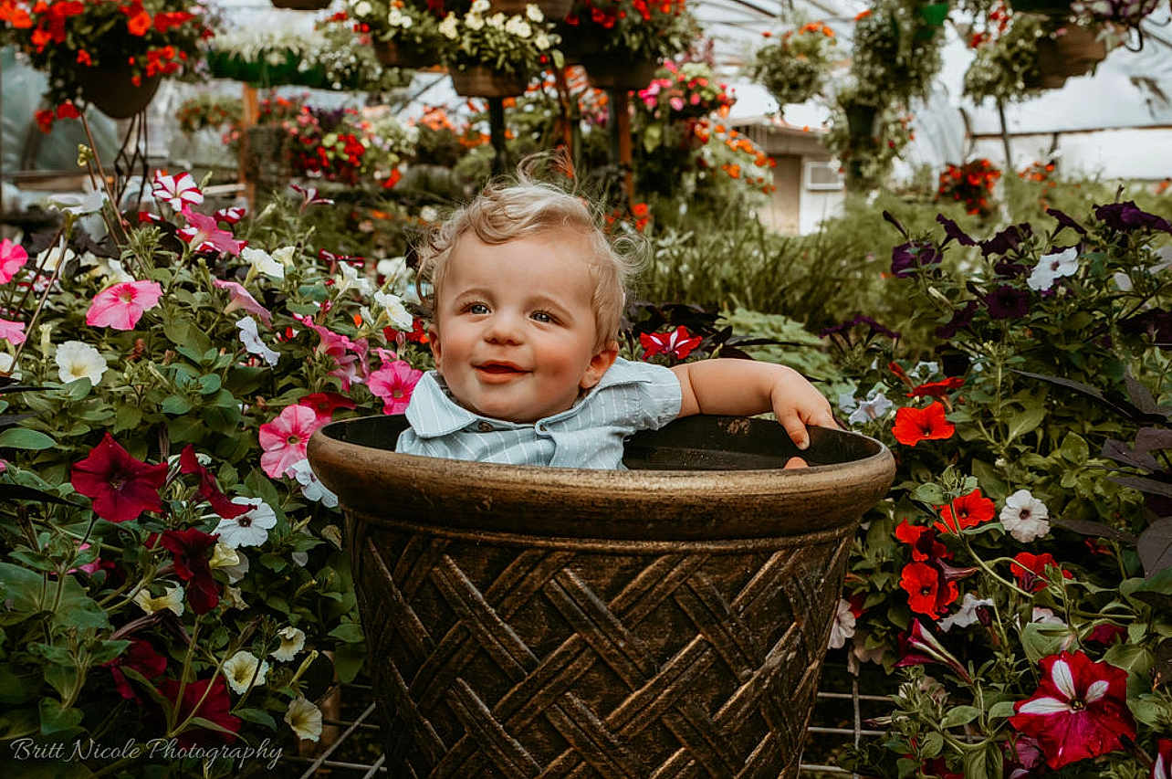 Denver is registered to the contest to win money with this photo: toddler, child, flower_pot, flowers, garden, greenhouse, smile, curly_hair, blonde, plants, colorful, nature, pottery, cute, portrait, outdoor, baby, botanical, happy, sitting