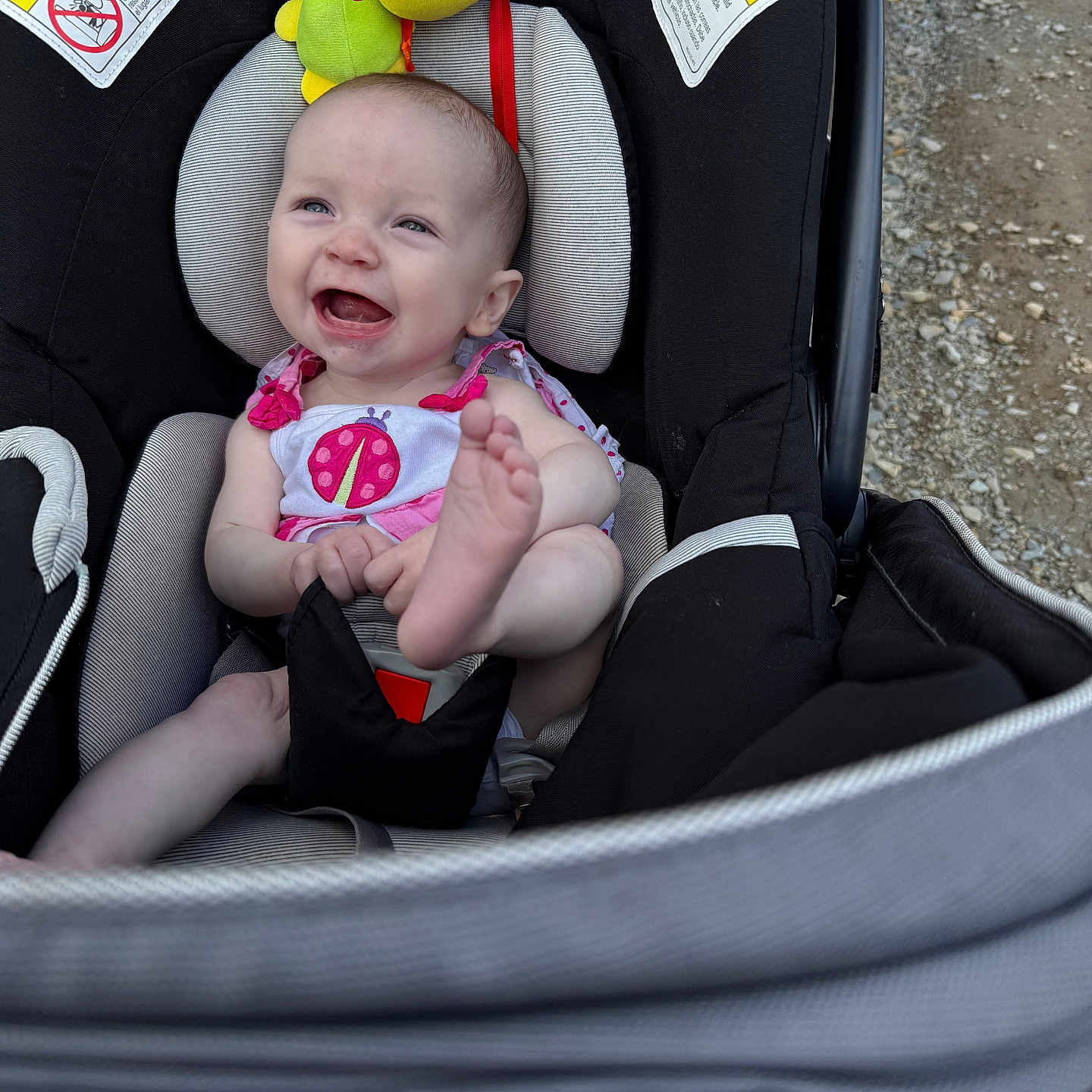 Lorelai is registered to the contest to win money with this photo: baby, car_seat, smiling, happy, infant, foot, plush_toy, ladybug, outdoor, gravel, child, seat_belt, clothing, person, cute, head, sitting, playful, toy, bright