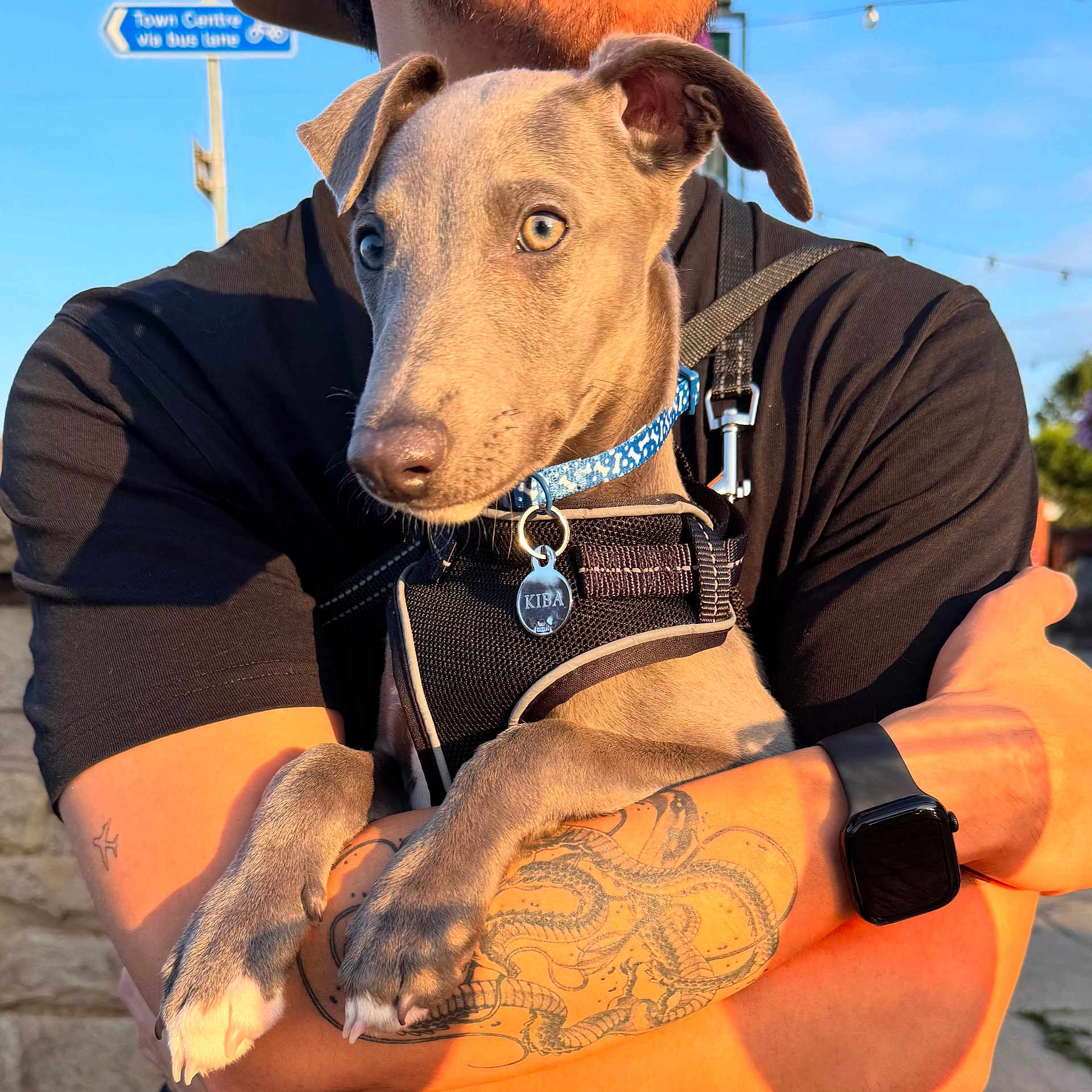 Kiba