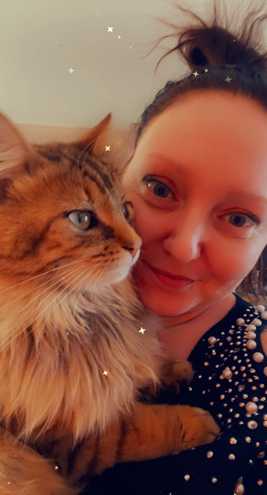 Soleil a rejoint le concours — aidez-le/la à gagner de superbes lots ! carnivore, cat, cheek, close_up, ear, eye, eyebrow, fawn, felidae, gesture, happy, head, iris, long_hair, nose, skin, small_to_medium_sized_cats, smile, snout, whiskers