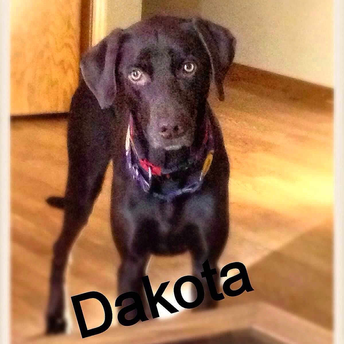 Dakota
