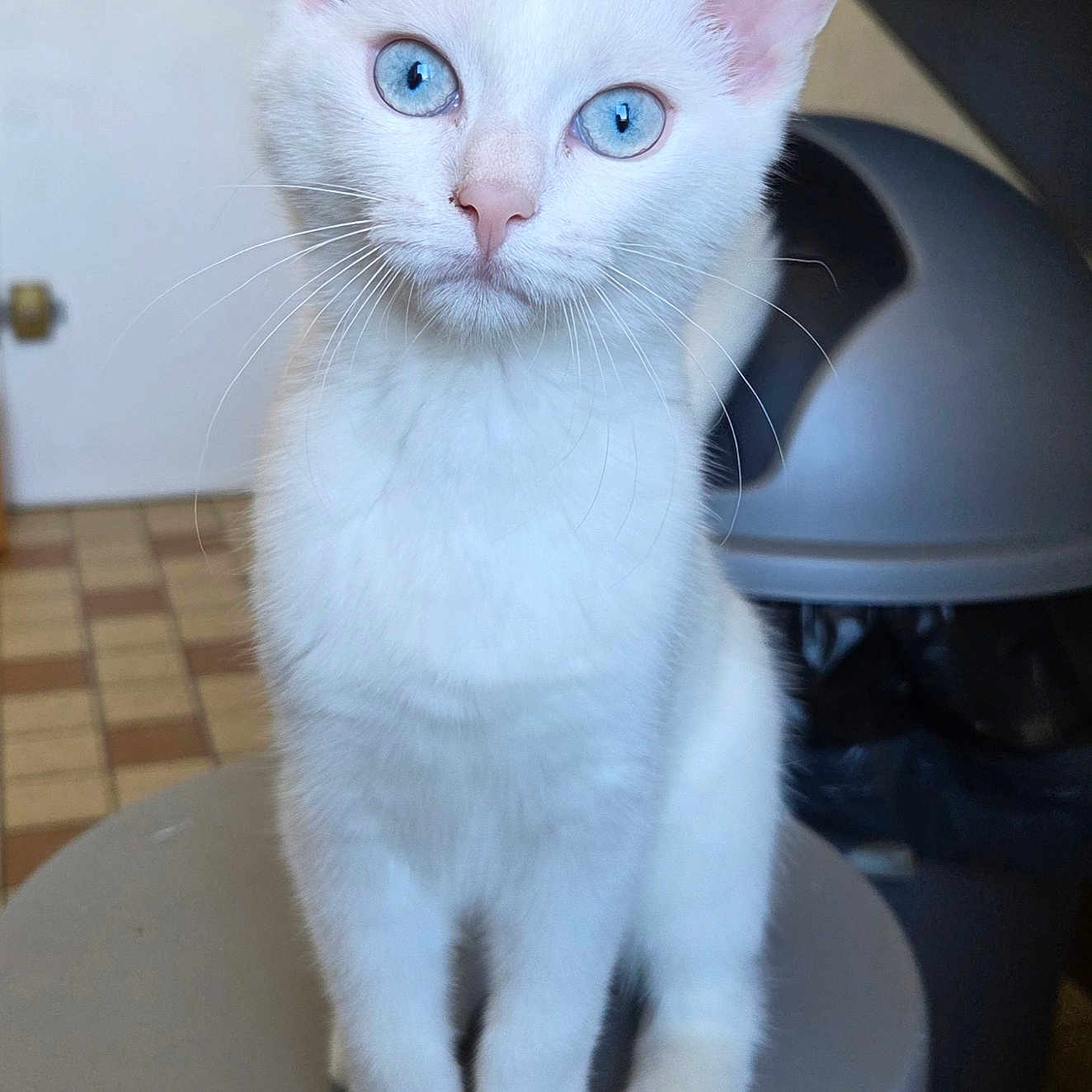 Azia