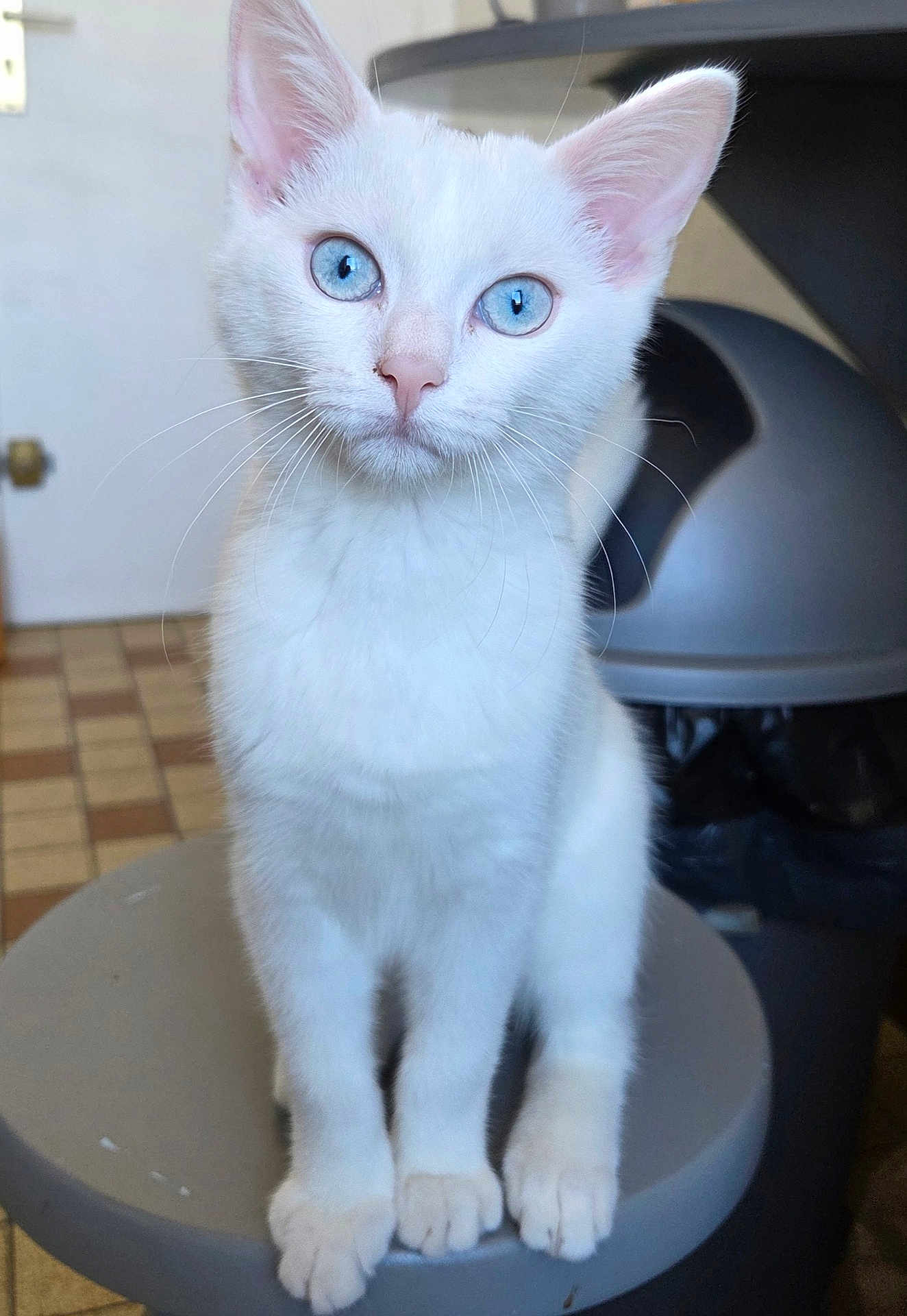 Azia