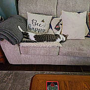 Jasper is registered to the contest to win money with this photo: blanket, carpet, cat, couch, cozy, furniture, gray, home_decor, indoor, living_room, photograph, pillow, plant, relaxing, resting, striped_cat, tabby_cat, table, text_on_pillow, window