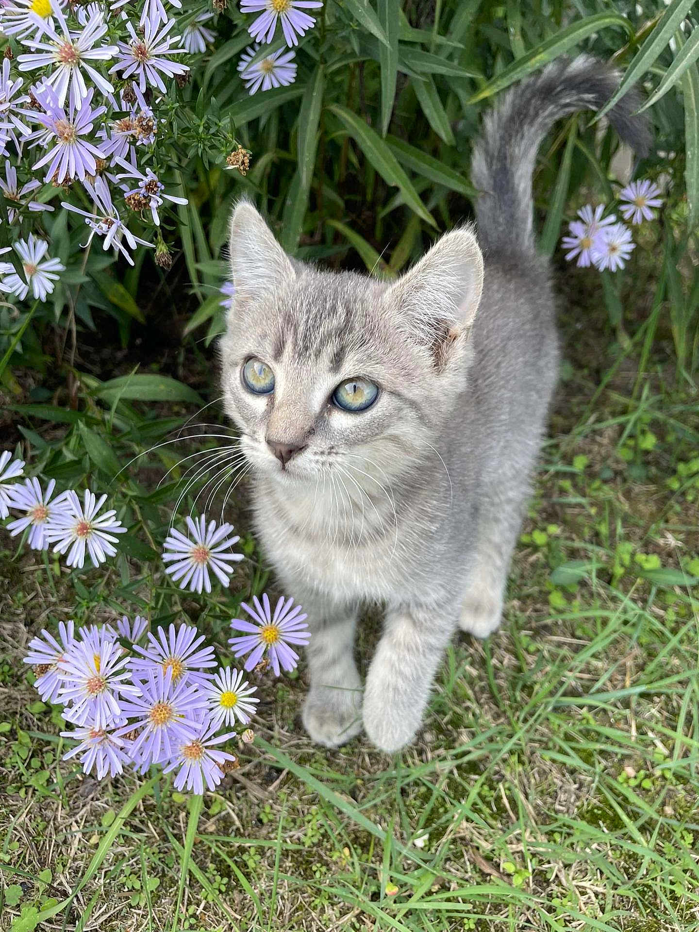 Kimy