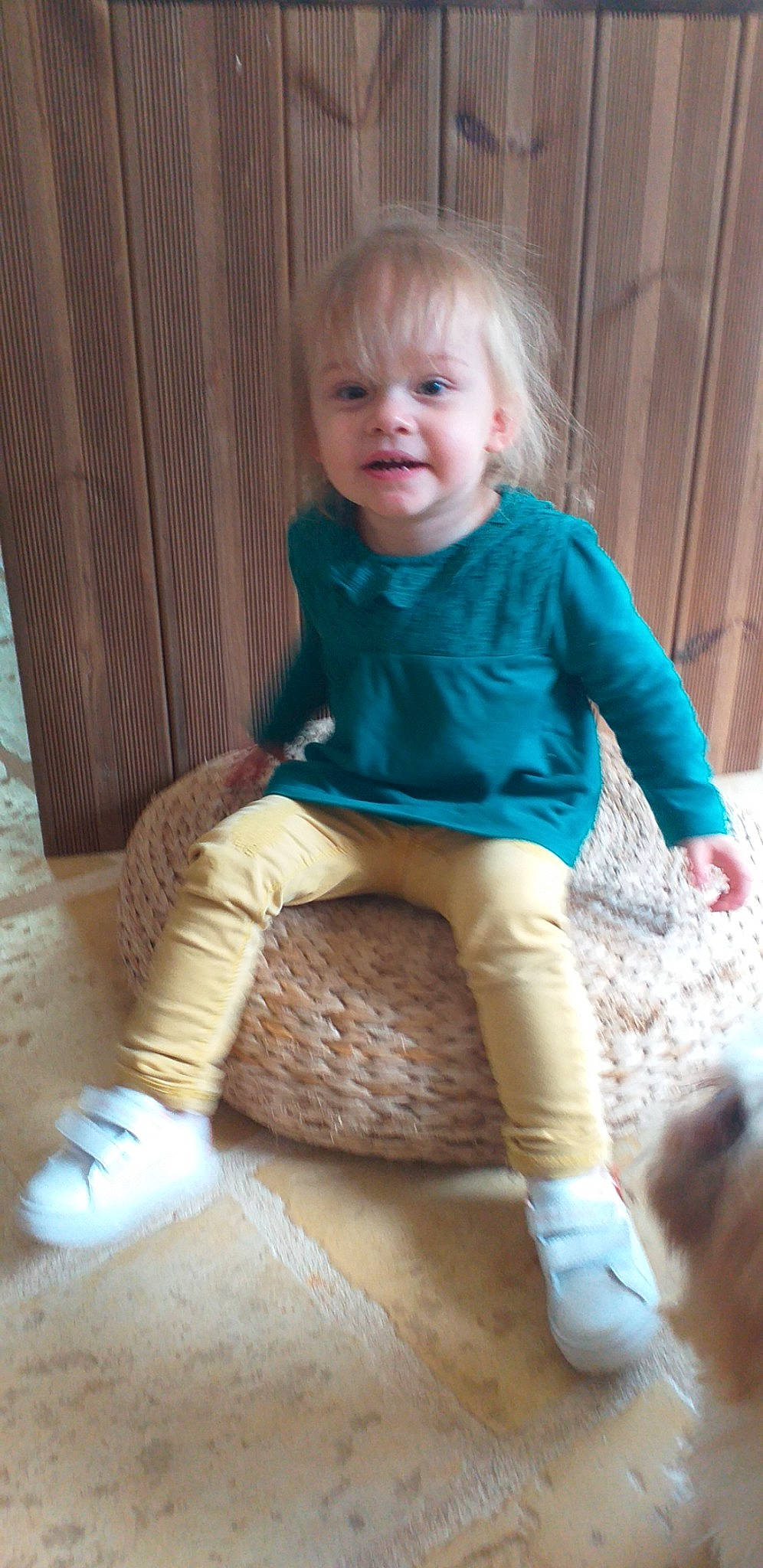 Inaya a rejoint le concours — aidez-le/la à gagner de superbes lots ! arm, baby_toddler_clothing, child, face, fawn, hair, human_body, human_leg, joint, knee, leg, person, shoulder, skin, sleeve, smile, sock, textile, thigh, toddler