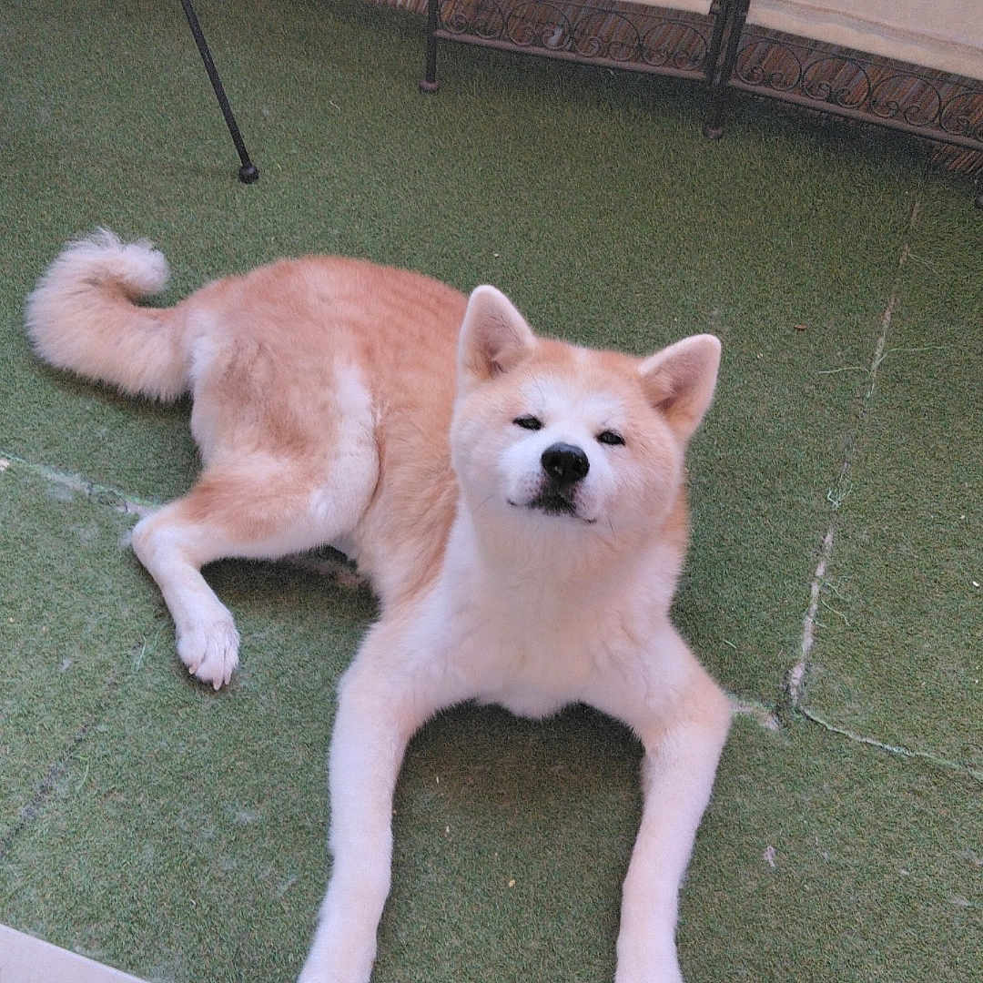 Yuka