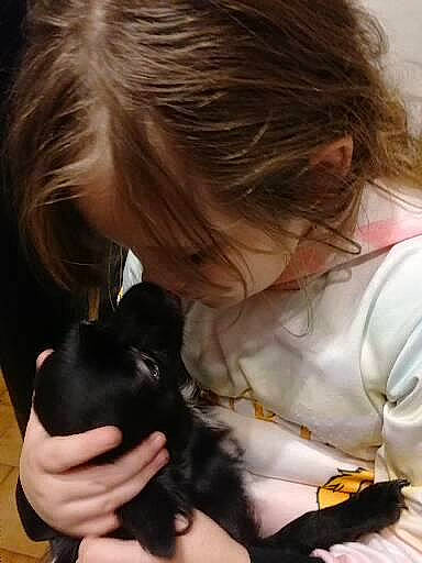 Simba a rejoint le concours — aidez-le/la à gagner de superbes lots ! blond, brown_hair, carnivore, child, companion_dog, dog, dog_breed, felidae, finger, gesture, hair, hand, long_hair, mammal, nail, small_to_medium_sized_cats, sporting_group, toy, toy_dog, whiskers