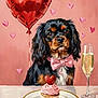 Benji joined the competition — help win amazing prizes! animal, background, celebration, champagne, cupcake, cute, decor, dessert, dog, glass, heart, heart_balloon, love, painting, pink, pink_bow_tie, portrait, sweet, table, valentine