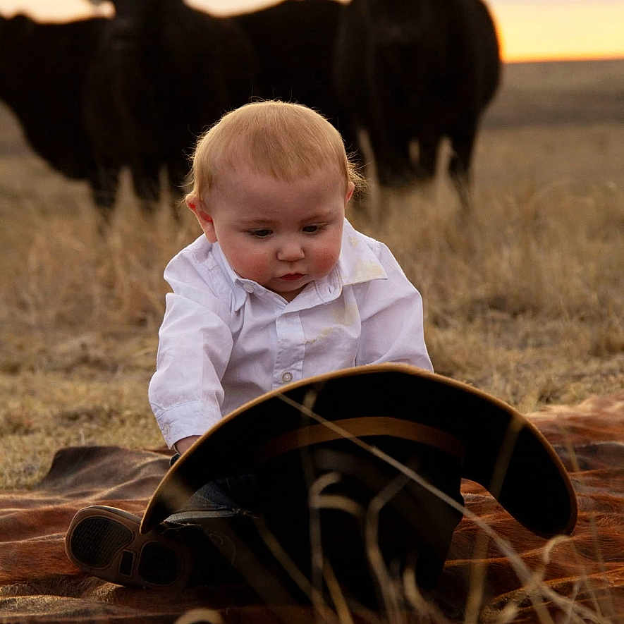 Trace joined the competition — help win amazing prizes! angus, animal, baby, bull, cattle, countryside, cow, face, farm, field, grassland, head, livestock, nature, outdoors, person, photography, portrait, ranch, rural