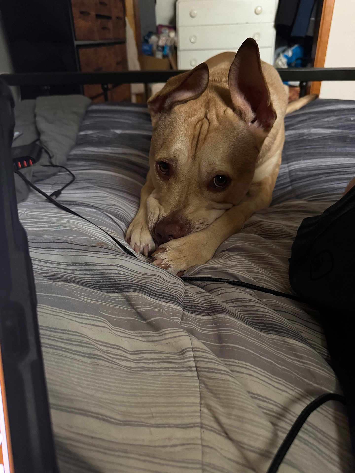 Remi