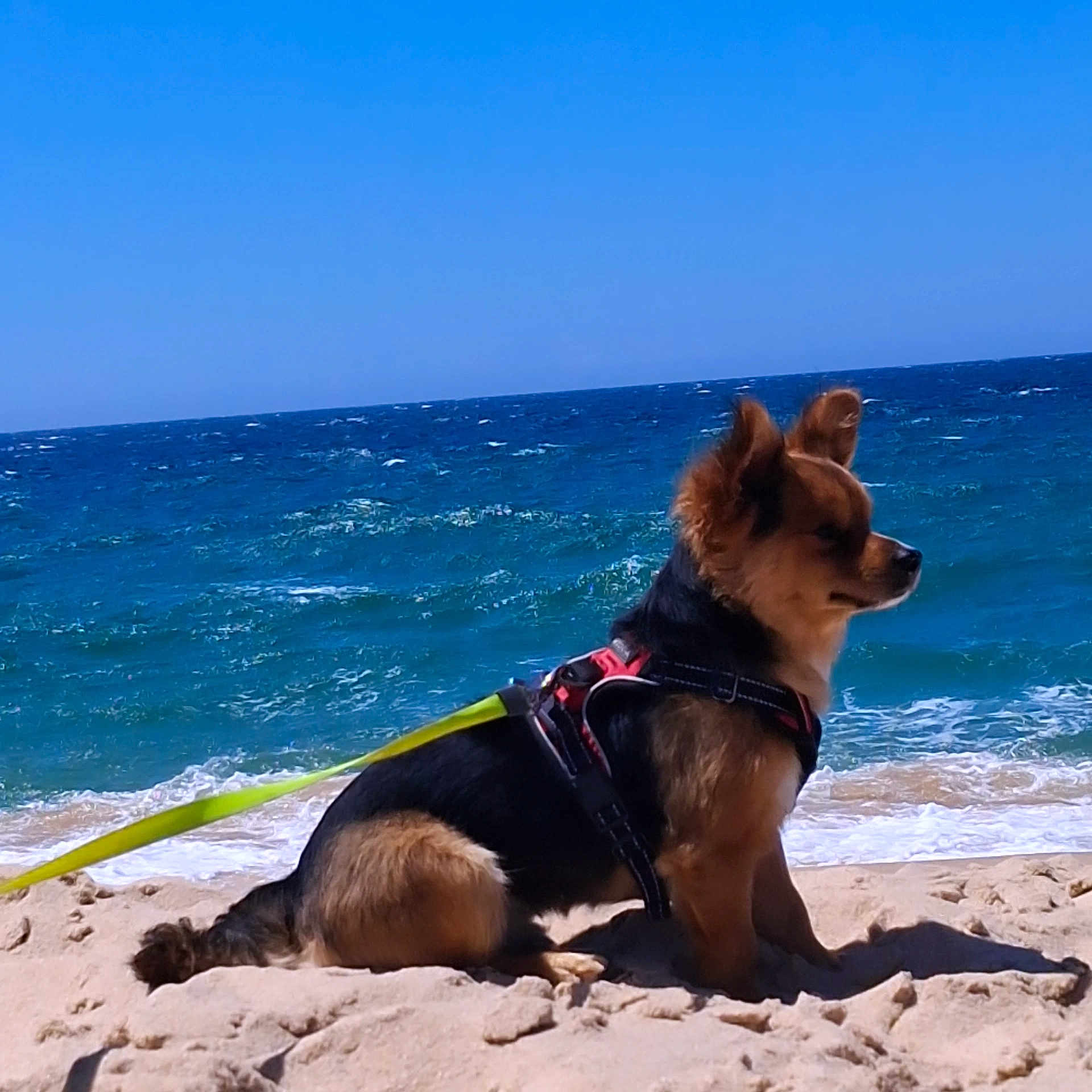 Rio