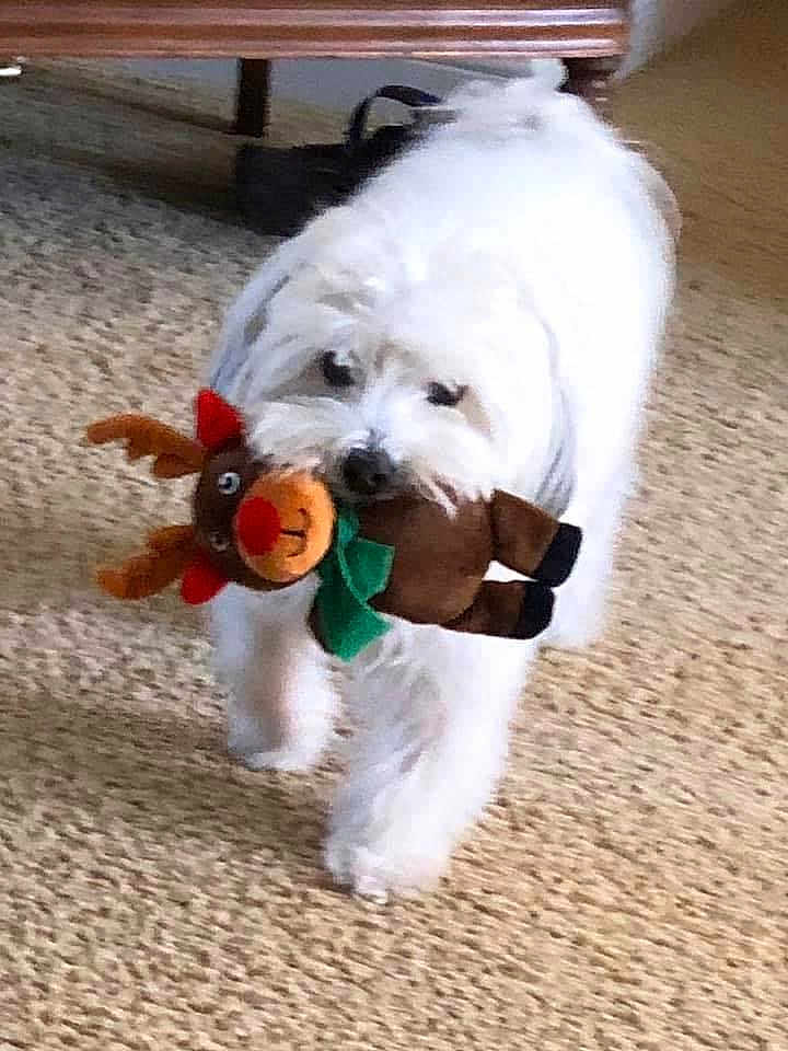 Tucker