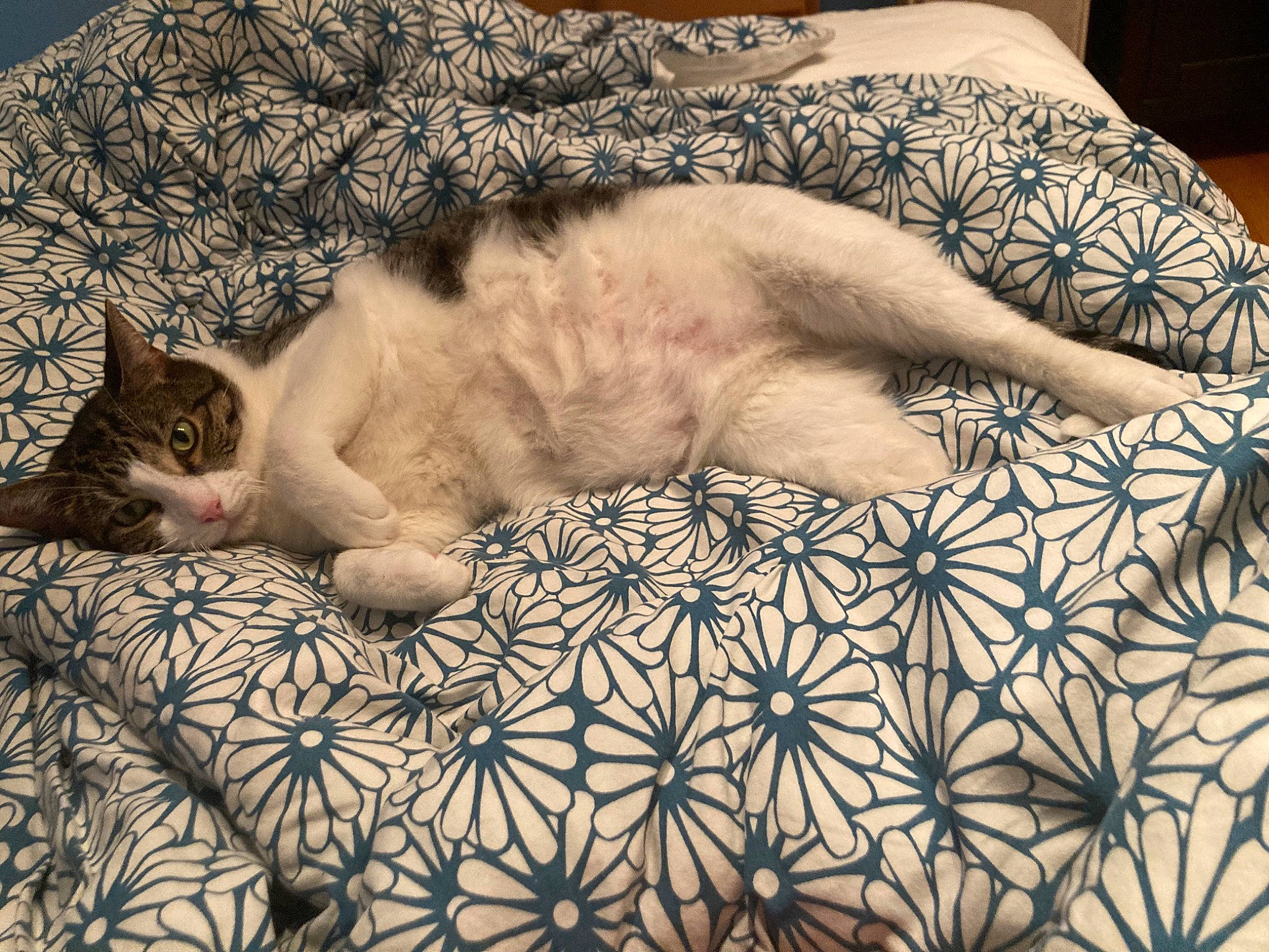 Stanley