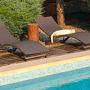 Idem participe au concours pour gagner de l'argent avec cette photo : cat, lounge_chair, pool, outdoor, sunlight, greenery, wood_deck, relaxing, white_cat, daytime, tree, shadows, quiet, pet, resting, nature, summer, feline, peaceful, backyard