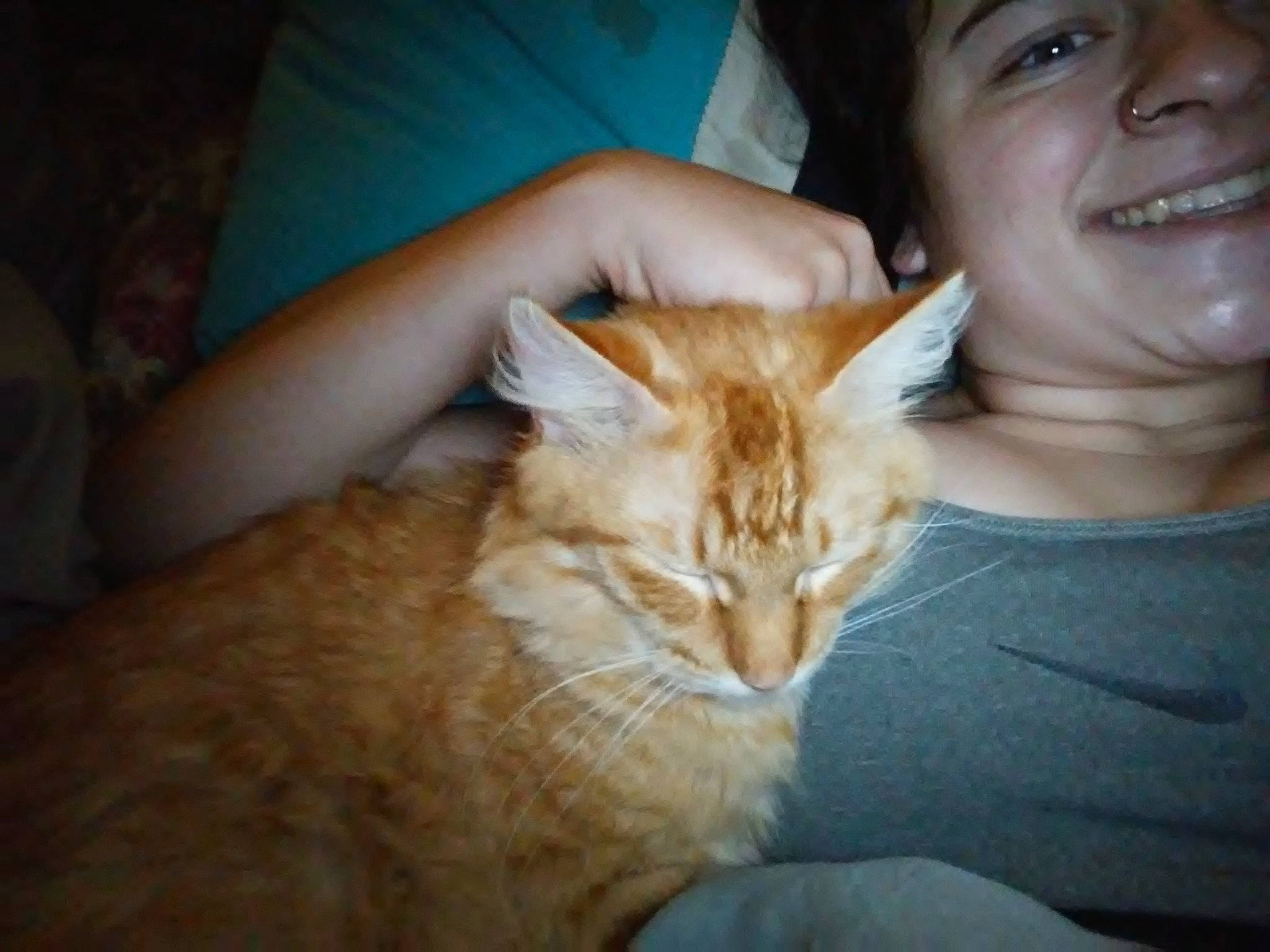 Paris joined the competition — help win amazing prizes! carnivoran, cat, cat_like_mammal, domestic_long_haired_cat, domestic_short_haired_cat, fur, iris, joy, kitten, maine_coon, mammal, norwegian_forest_cat, person, small_to_medium_sized_cats, tabby_cat, whiskers