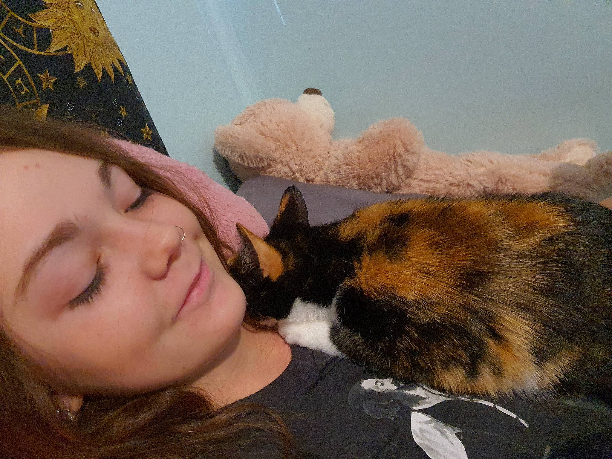 Missy is registered to the contest to win money with this photo: carnivore, cat, ear, felidae, fur, nap, nose, small_to_medium_sized_cats, whiskers