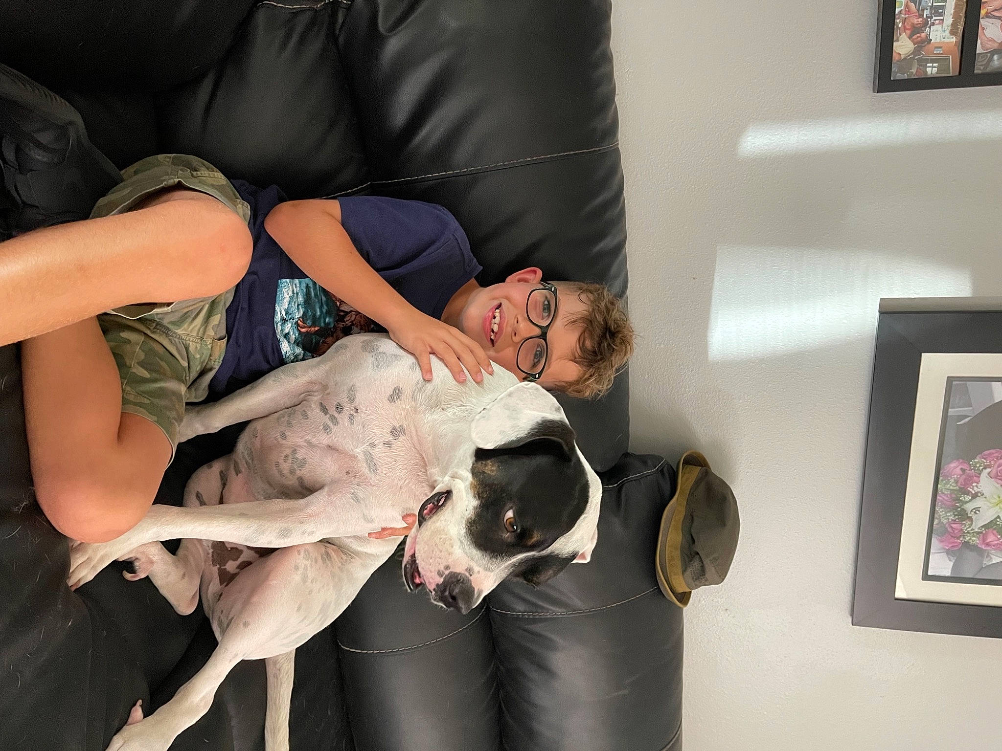 Barkley joined the competition — help win amazing prizes! black_hair, carnivore, comfort, companion_dog, couch, dog, dog_breed, dress, event, fashion_design, fawn, flash_photography, fun, fur, human_leg, knee, picture_frame, smile, sporting_group, thigh