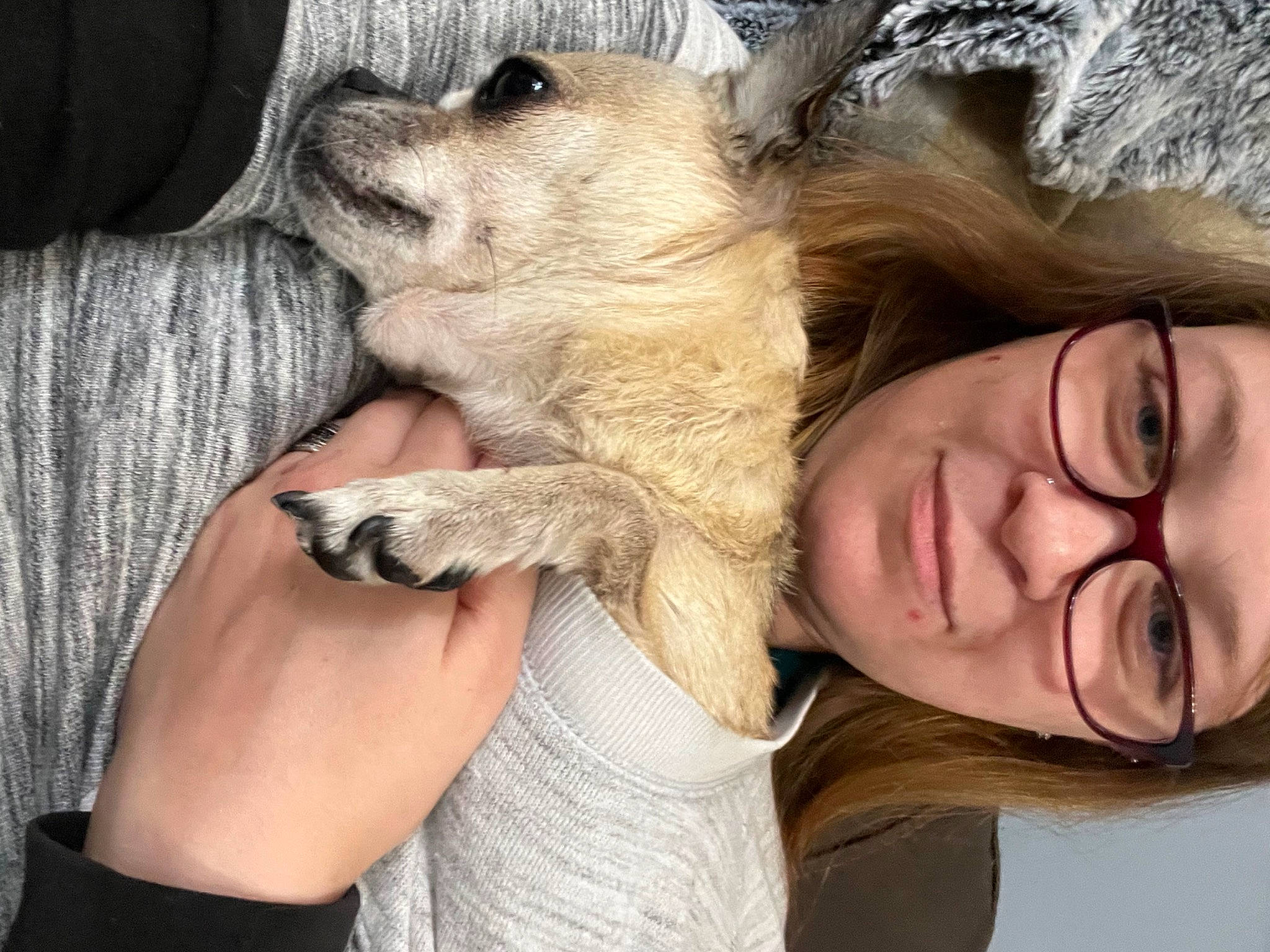 Snickers joined the competition — help win amazing prizes! canidae, carnivore, comfort, companion_dog, dog, dog_breed, ear, eyewear, fawn, fur, gesture, glasses, happy, paw, puppy_love, selfie, sitting, sporting_group, whiskers, wood