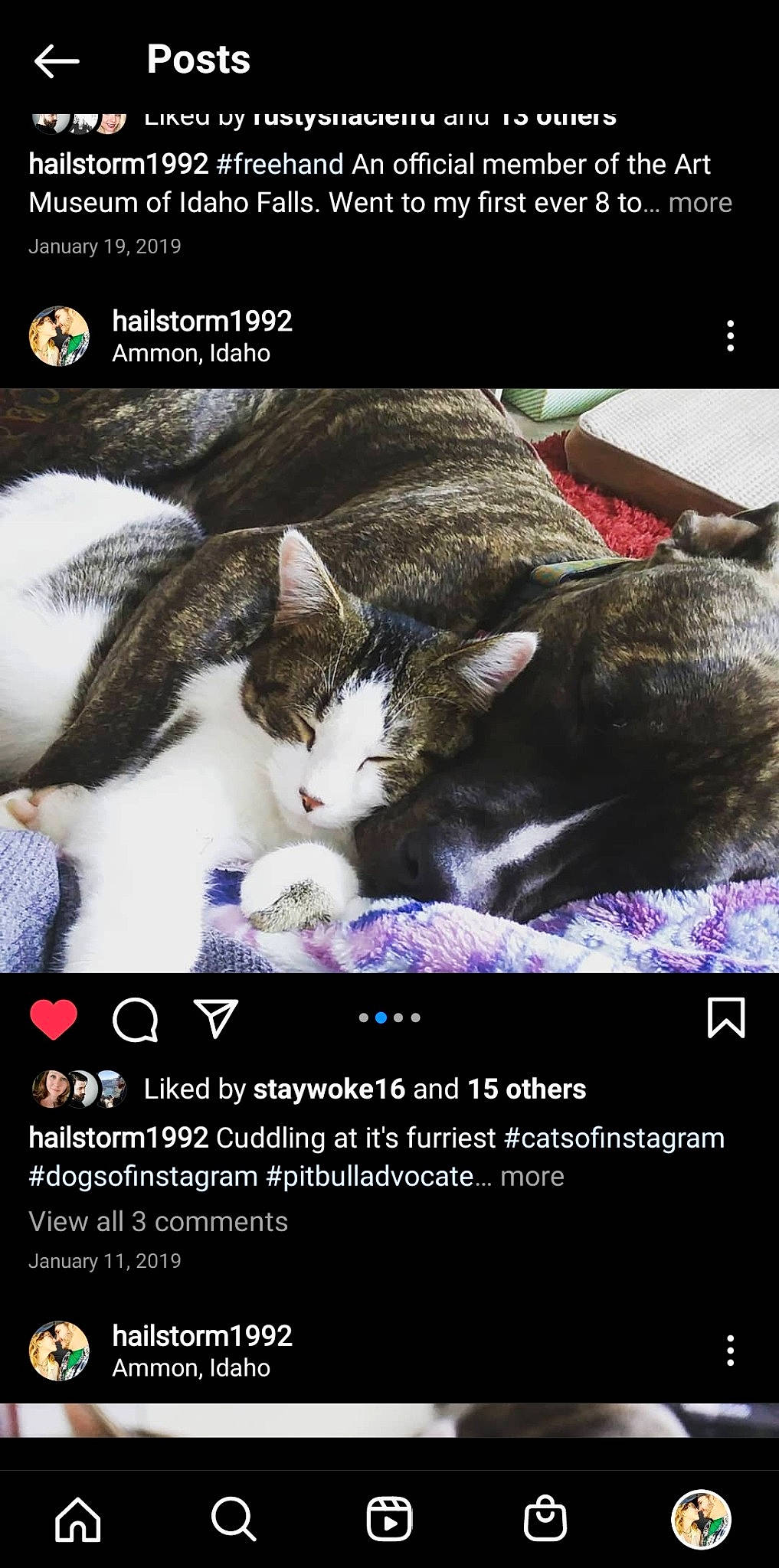 He'Li is registered to the contest to win money with this photo: advertising, carnivore, cat, cat_supply, darkness, event, felidae, font, fur, graphic_design, happy, internet_meme, organism, paw, photo_caption, photography, publication, screenshot, small_to_medium_sized_cats, whiskers