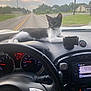 Aries is registered to the contest to win money with this photo: cat, car, dashboard, steering_wheel, road, sky, clouds, speedometer, phone_holder, greenery, house, grass, window, interior, vehicle, animal, pet, black_and_white, relaxing, daytime