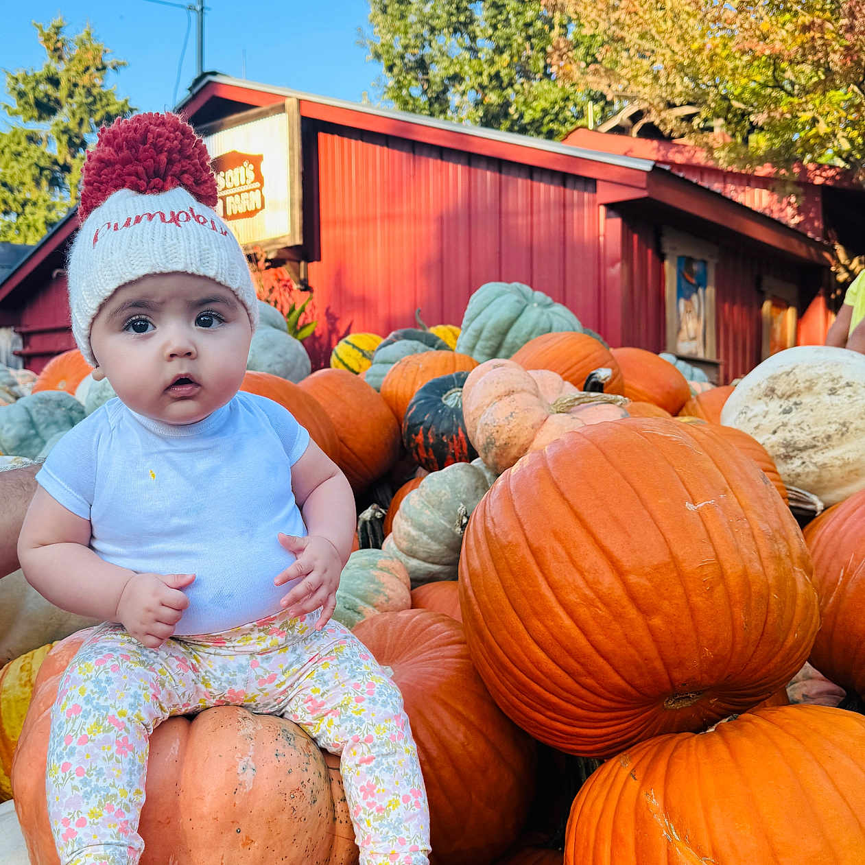 Kayla joined the competition — help win amazing prizes! autumn, baby, child, colorful, cute, daylight, fall, harvest, hat, leafy_trees, nature, orange, outdoor, person, portrait, pumpkin, red_barn, scenic, seasonal, sitting