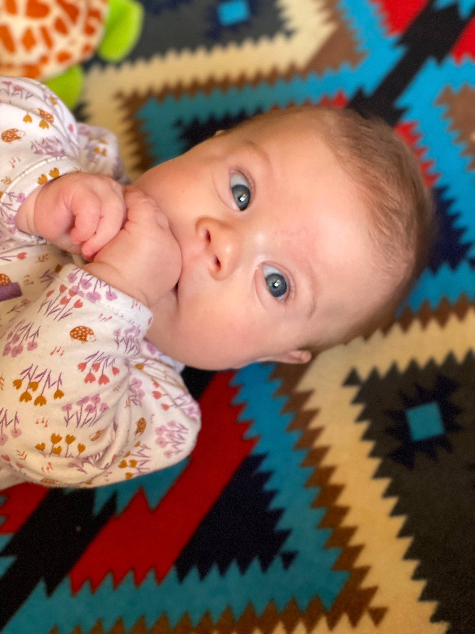 Emma Raelynn joined the competition — help win amazing prizes! baby, baby_products, baby_toddler_clothing, beauty, cheek, child, electric_blue, facial_expression, flooring, grass, happy, iris, leaf, nose, organ, pattern, person, skin, textile, toddler