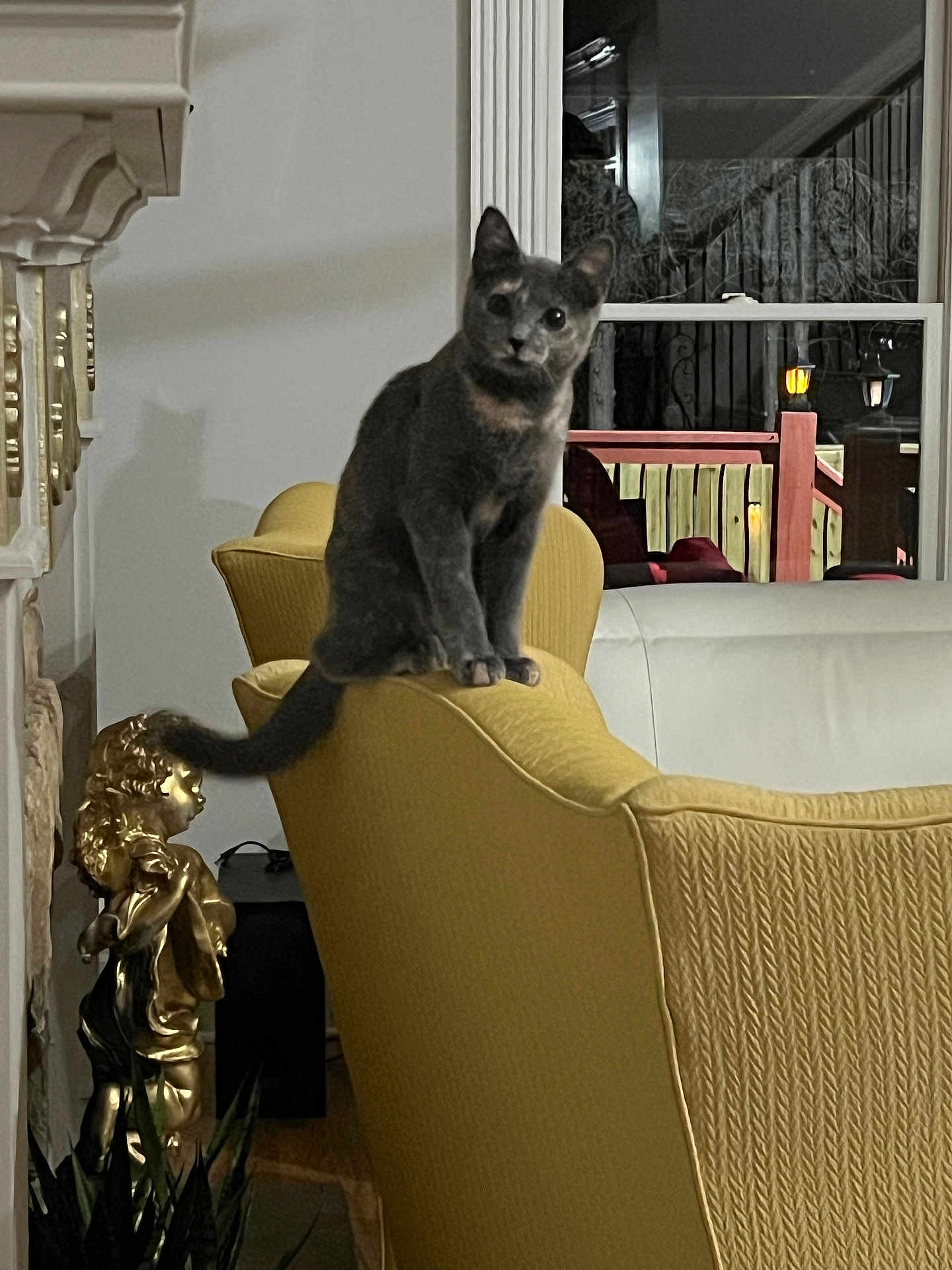 Blu