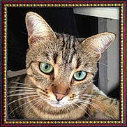 Mimi participe au concours pour gagner de l'argent avec cette photo :