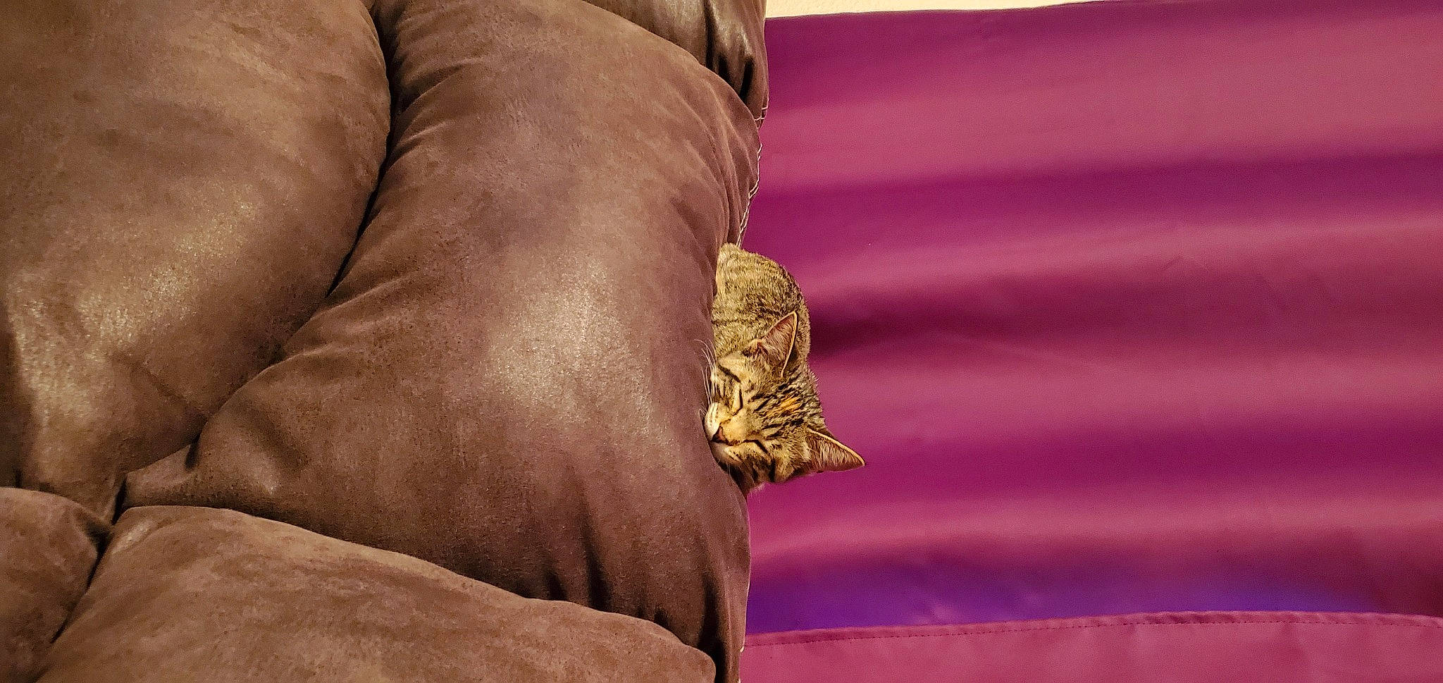 Kairi is registered to the contest to win money with this photo: finger, flesh, foot, furniture, hand, human_body, joint, leg