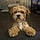 Charlie Leo Hopper