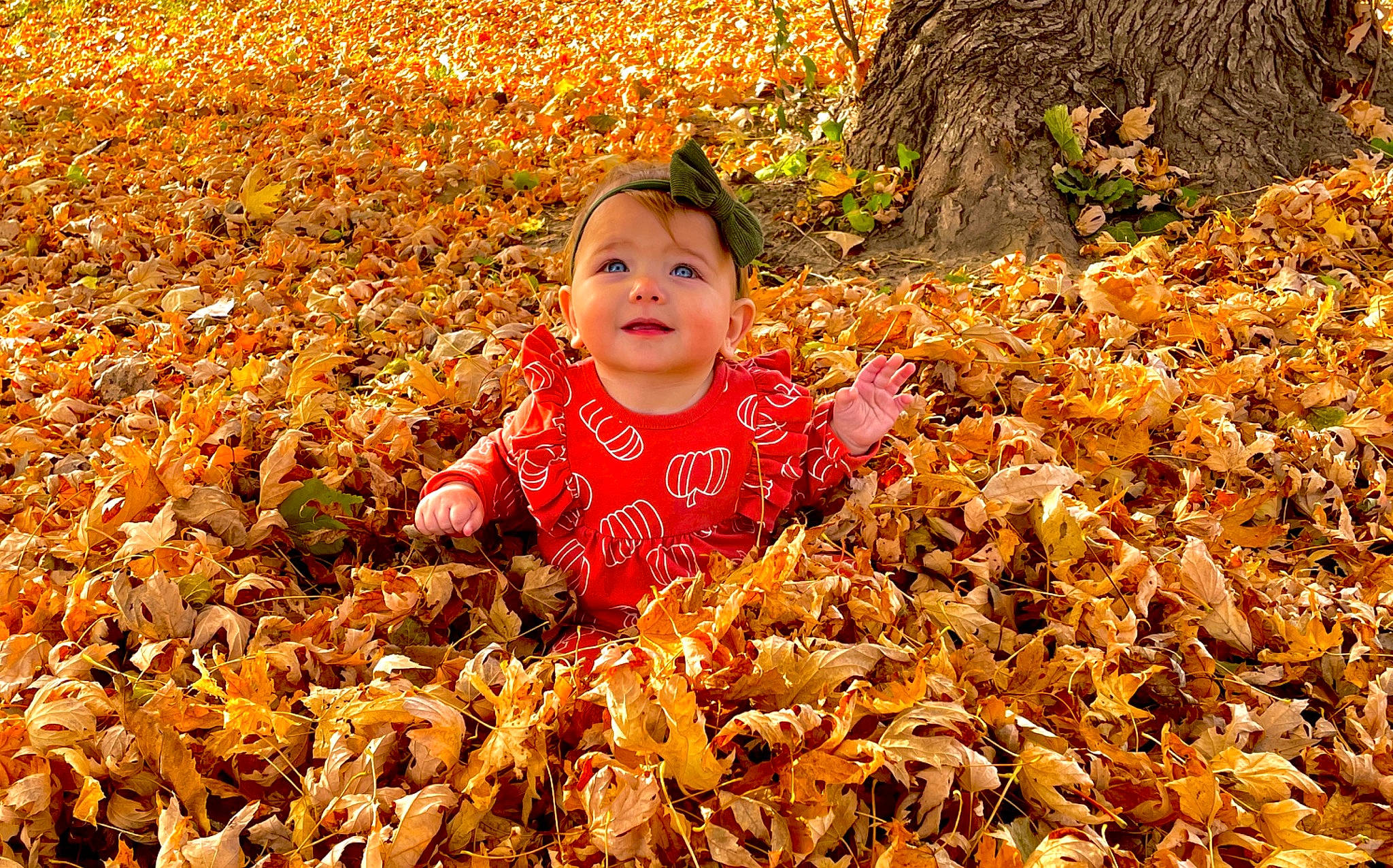 Isla is registered to the contest to win money with this photo: baby, beauty, botany, deciduous, grass, happy, joy, leaf, morning, natural_landscape, nature, people, people_in_nature, person, plant, smile, spring, sunlight, tints_and_shades, toddler