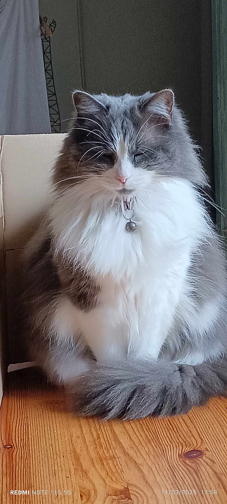 Coeur