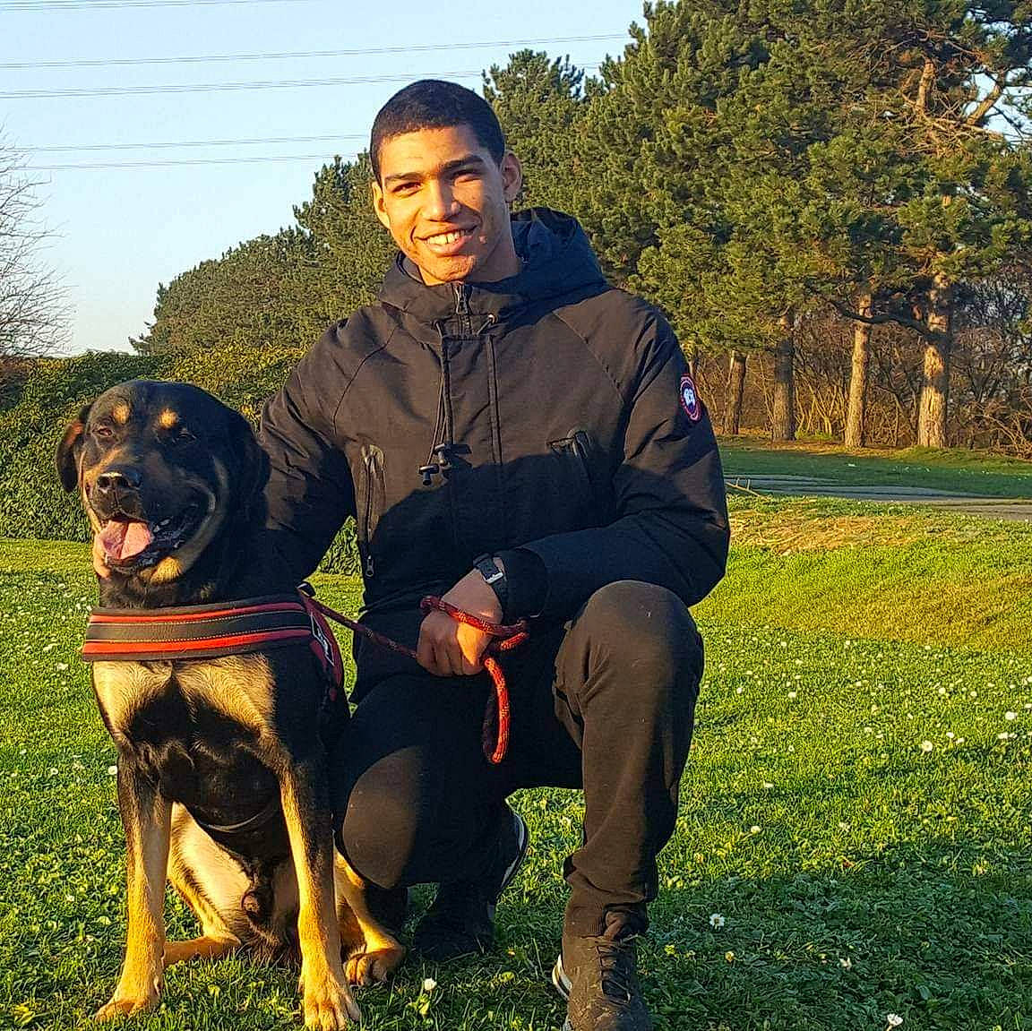 Jungo participe au concours pour gagner de l'argent avec cette photo : austrian_black_and_tan_hound, canidae, carnivore, companion_dog, dog, dog_breed, dog_walking, guard_dog, hunting_dog, joy, mammal, montenegrin_mountain_hound, person, polish_hunting_dog, rottweiler, sky, sporting_group, vertebrate, working_dog