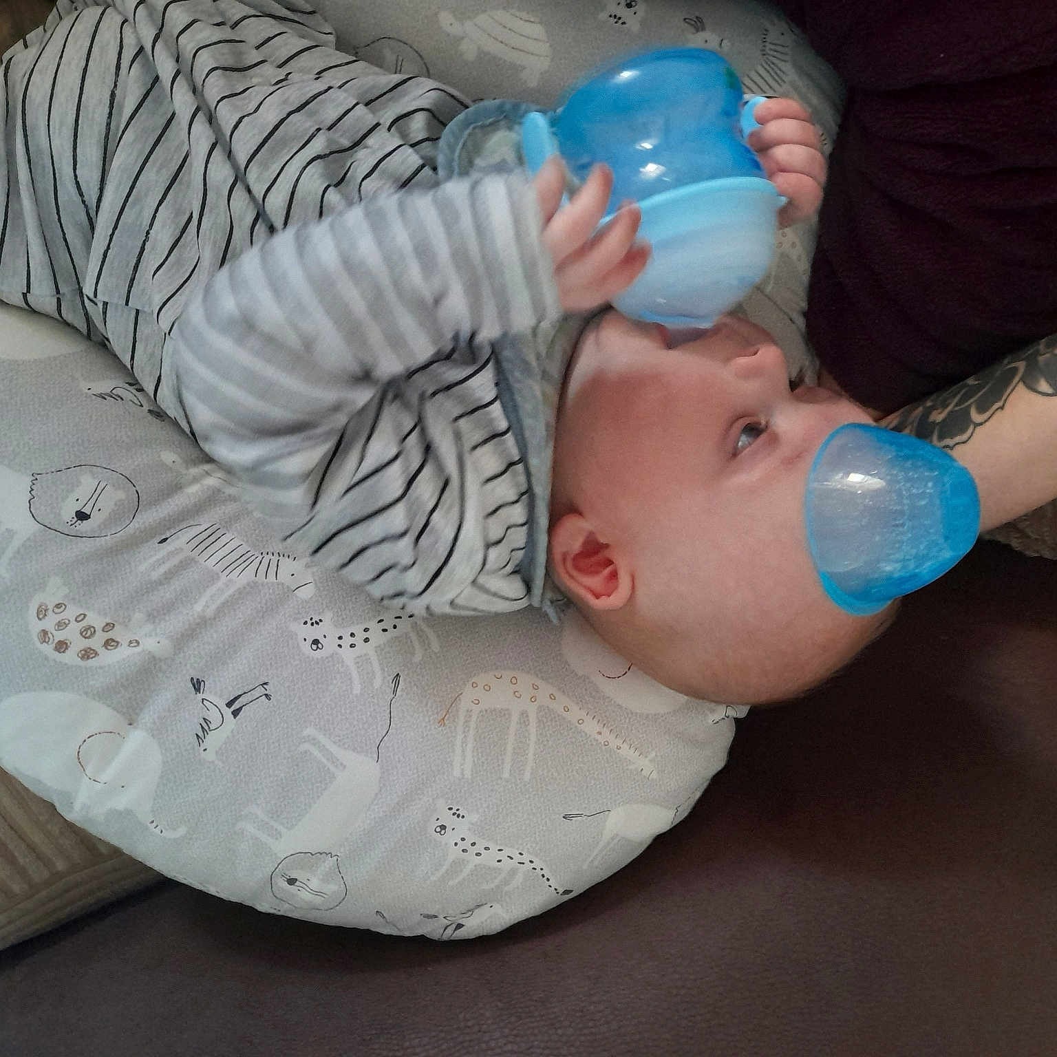 Jack joined the competition — help win amazing prizes! baby, baby_products, baby_toddler_clothing, bottle, cheek, child, comfort, drinking, drinkware, ear, eyelash, hand, nail, plastic, plastic_bottle, sitting, thumb, toddler, water, water_bottle