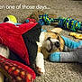 Deja is registered to the contest to win money with this photo: