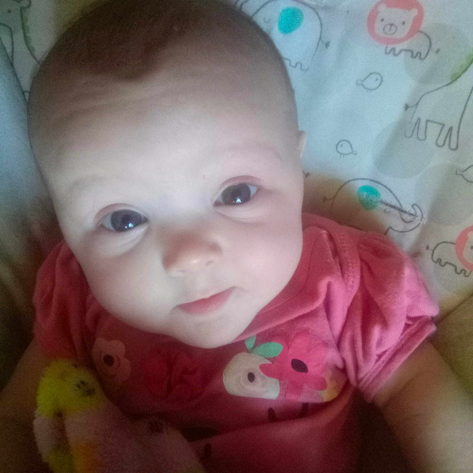 Ally Novella-ann joined the competition — help win amazing prizes! baby, baby_toddler_clothing, cheek, chin, ear, eye, eyebrow, eyelash, forehead, hair, hairstyle, head, iris, lip, mouth, nose, pink, skin, sleeve, toddler