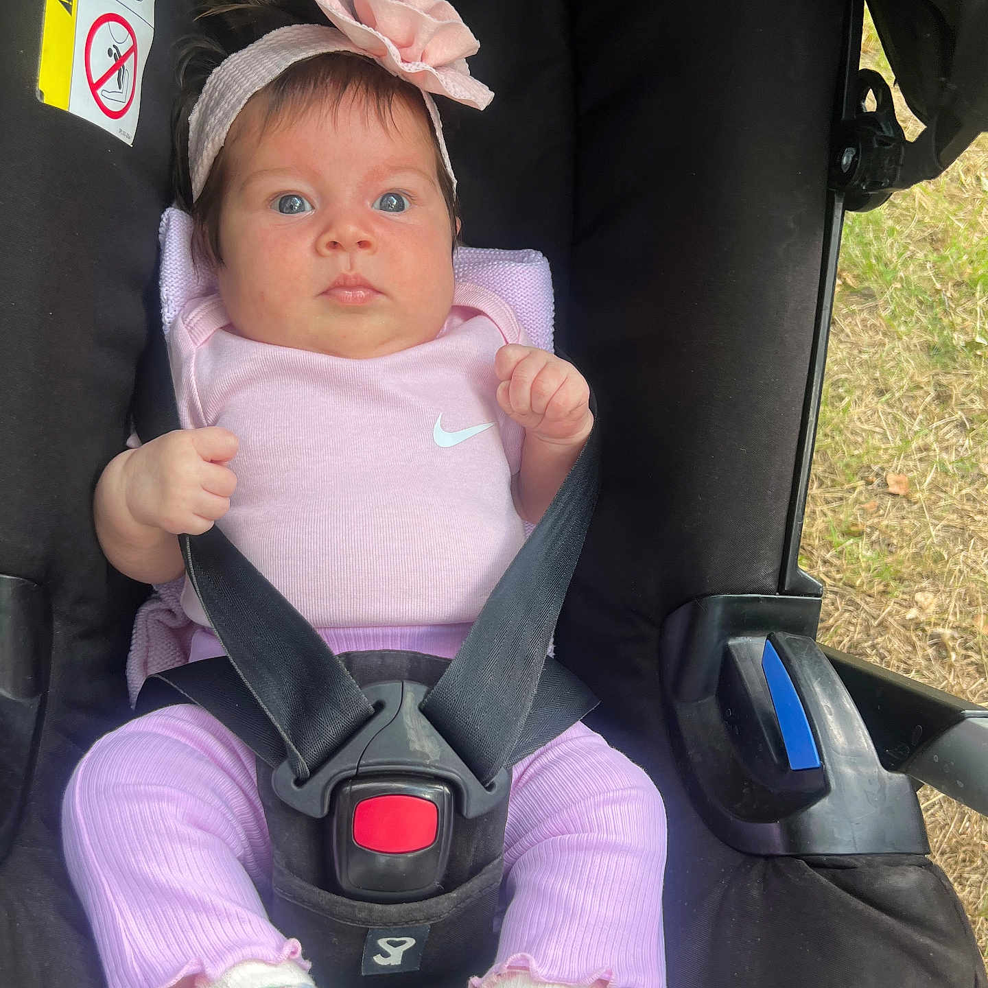 Celine is registered to the contest to win money with this photo: baby, car_seat, child, cute, expression, face, flower, grass, headband, infant, outdoor, person, pink_clothing, portrait, seatbelt, sitting, socks, straps, stroller, young