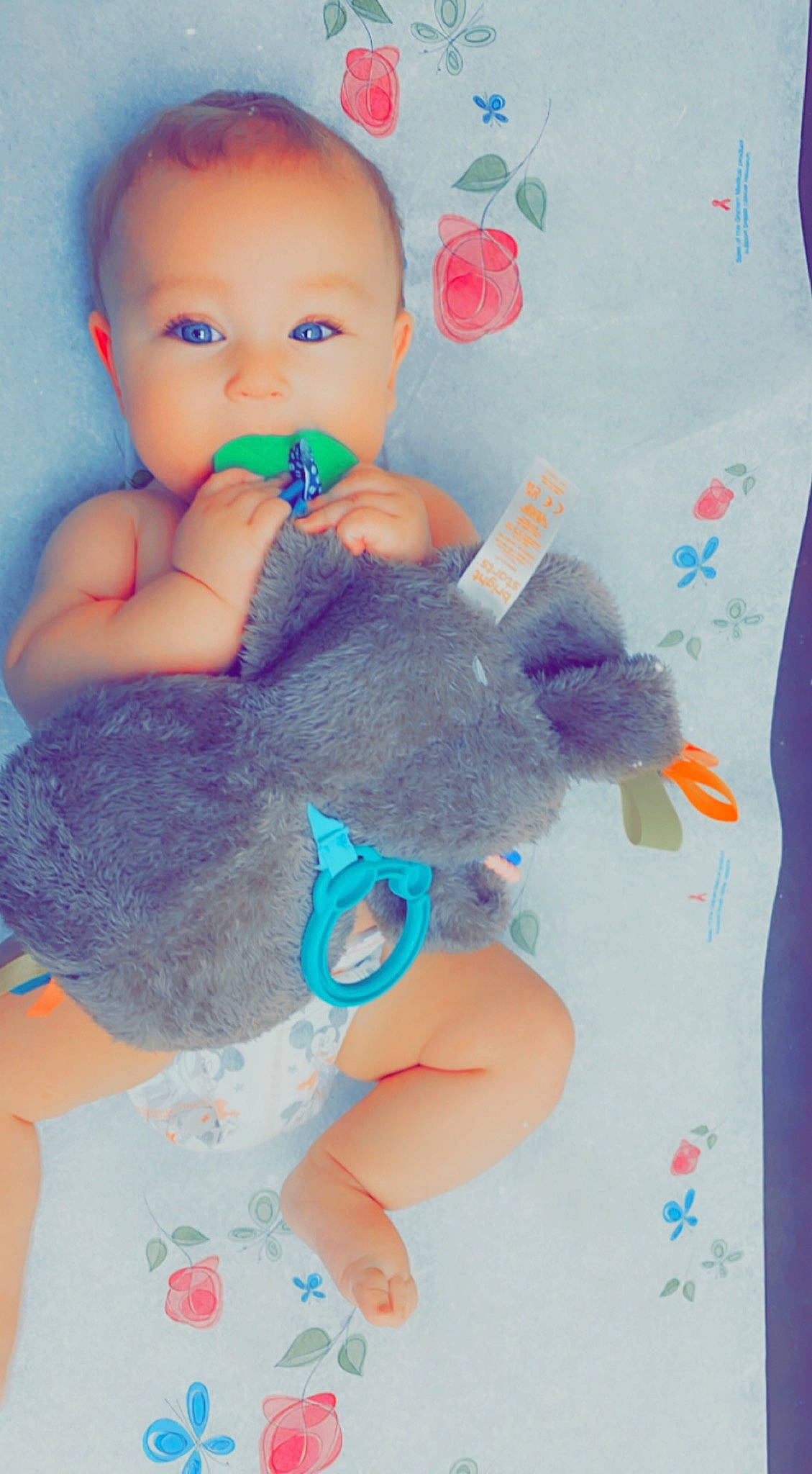 Zander joined the competition — help win amazing prizes! aqua, azure, baby_playing_with_toys, baby_toddler_clothing, blue, cheek, doll, finger, gesture, hand, happy, head, joint, nail, person, pink, purple, skin, textile, thumb