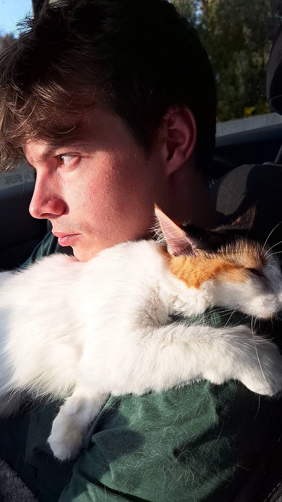 Umi participe au concours pour gagner de l'argent avec cette photo : carnivore, cat, companion_dog, domestic_short_haired_cat, ear, event, eyelash, feather, felidae, fur, fur_clothing, gesture, happy, nose, paw, sitting, small_to_medium_sized_cats, tail, whiskers