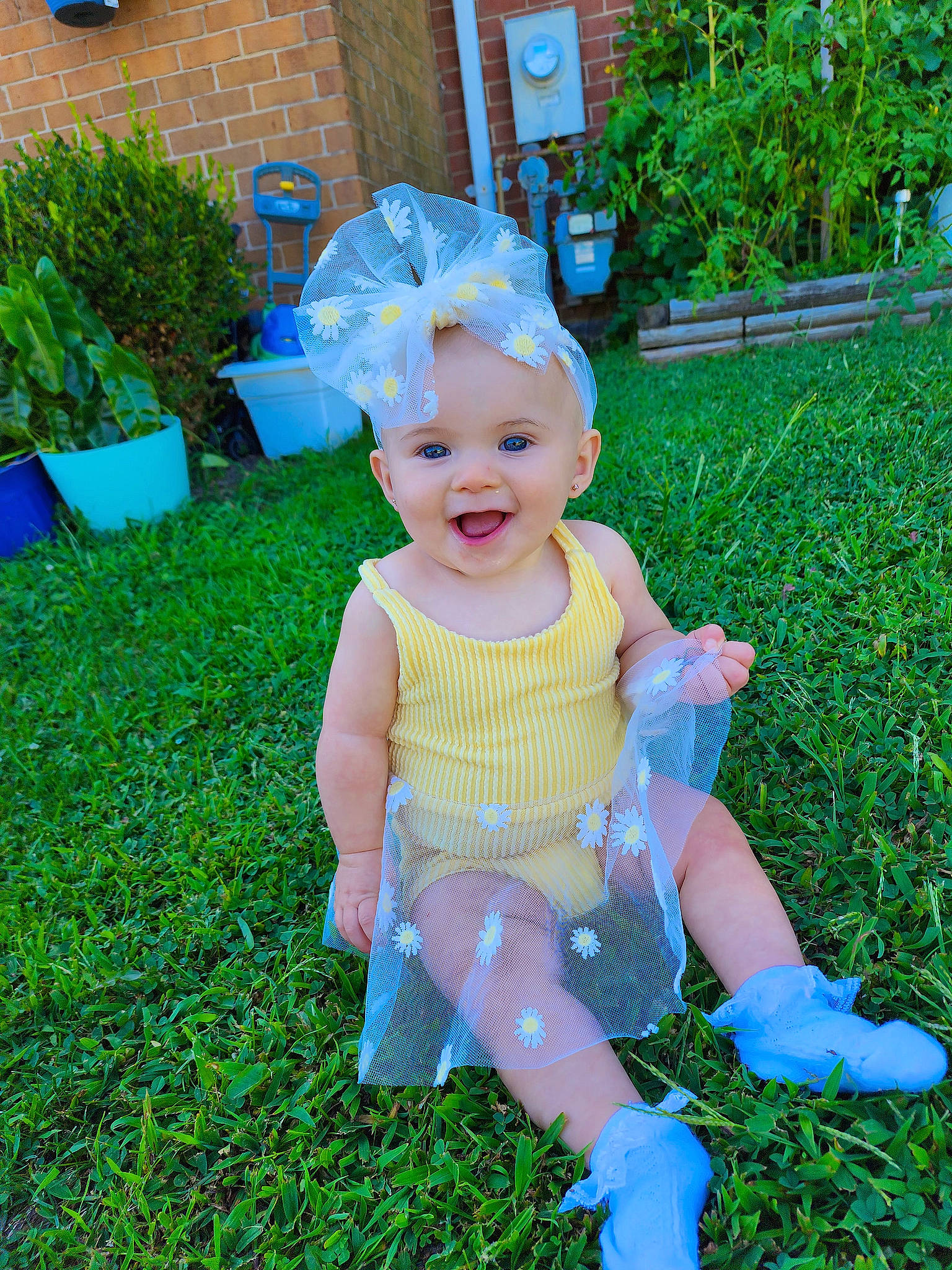 Amelianna joined the competition — help win amazing prizes! baby, baby_toddler_clothing, blue, child, electric_blue, flowerpot, fun, garden, grass, green, groundcover, happy, headwear, houseplant, joy, lawn, leaf, leisure, people_in_nature, person