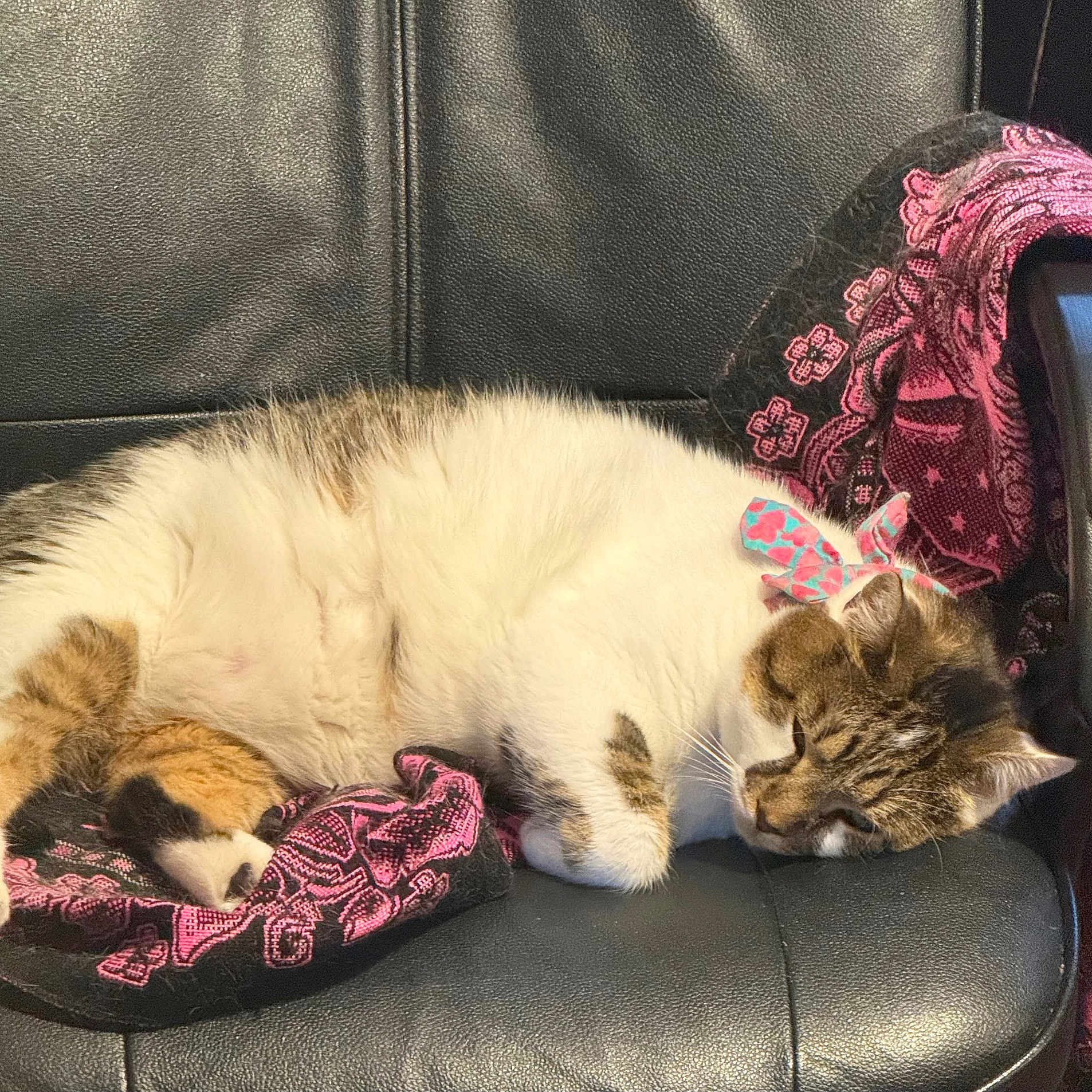 Bowie