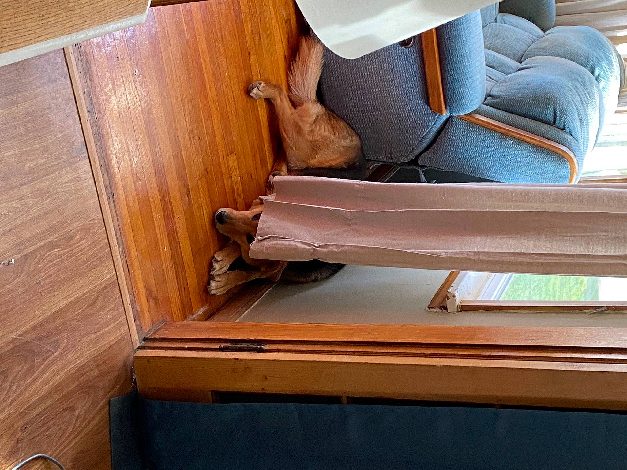 Elle joined the competition — help win amazing prizes! armrest, auto_part, automotive_exterior, chair, comfort, electric_blue, floor, flooring, hardwood, leather, motor_vehicle, plywood, property, publication, sitting, varnish, vehicle, vehicle_door, wood, wood_stain