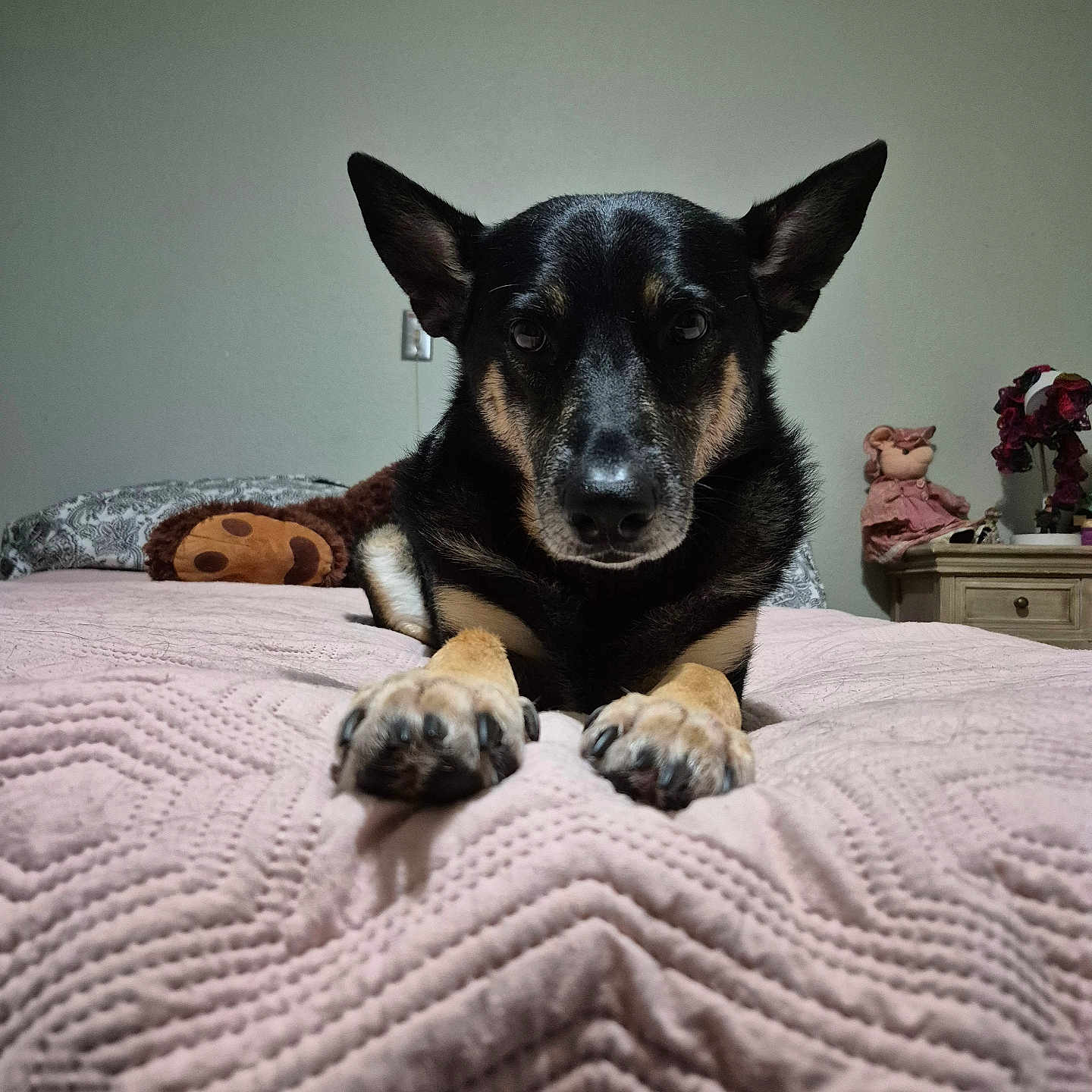Molly Mae