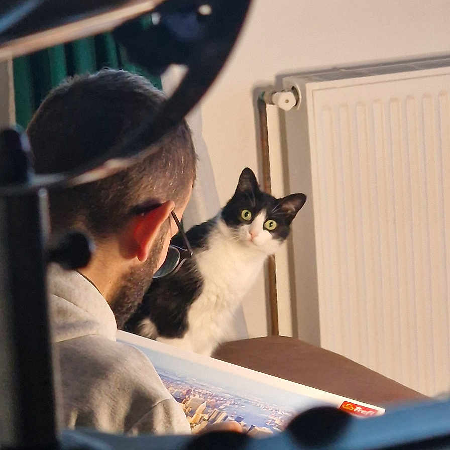 Kagome a rejoint le concours — aidez-le/la à gagner de superbes lots ! accessories, adult, animal, baseballcap, cap, cat, clothing, desk, face, furniture, glasses, hat, head, male, man, person, pet, photography, portrait, table