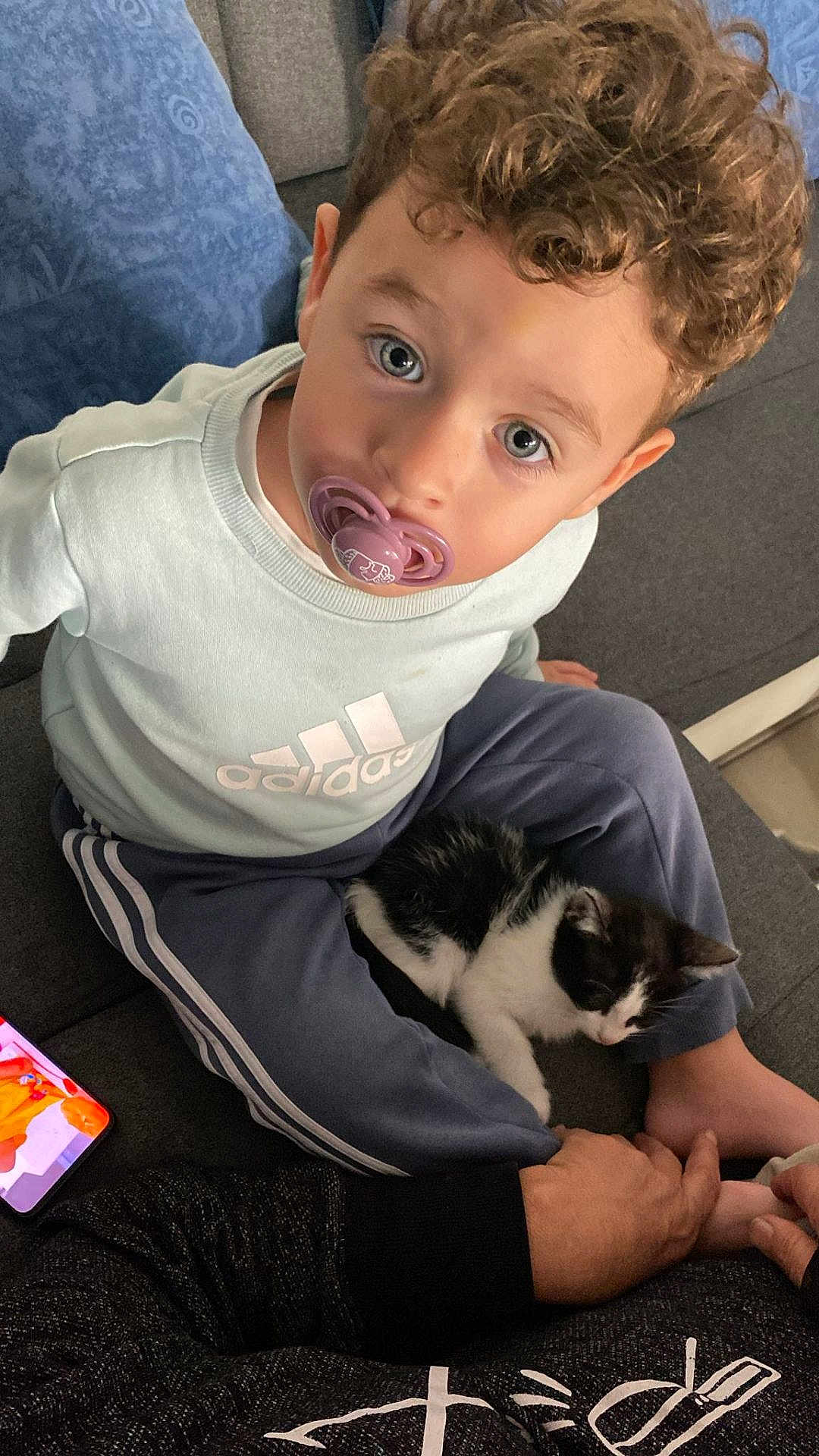 Loris a rejoint le concours — aidez-le/la à gagner de superbes lots ! toddler, child, pacifier, curly_hair, blue_eyes, kitten, cat, couch, clothing, sweatshirt, pants, hand, foot, smartphone, indoor, cozy, pet, sitting, looking_up, casual