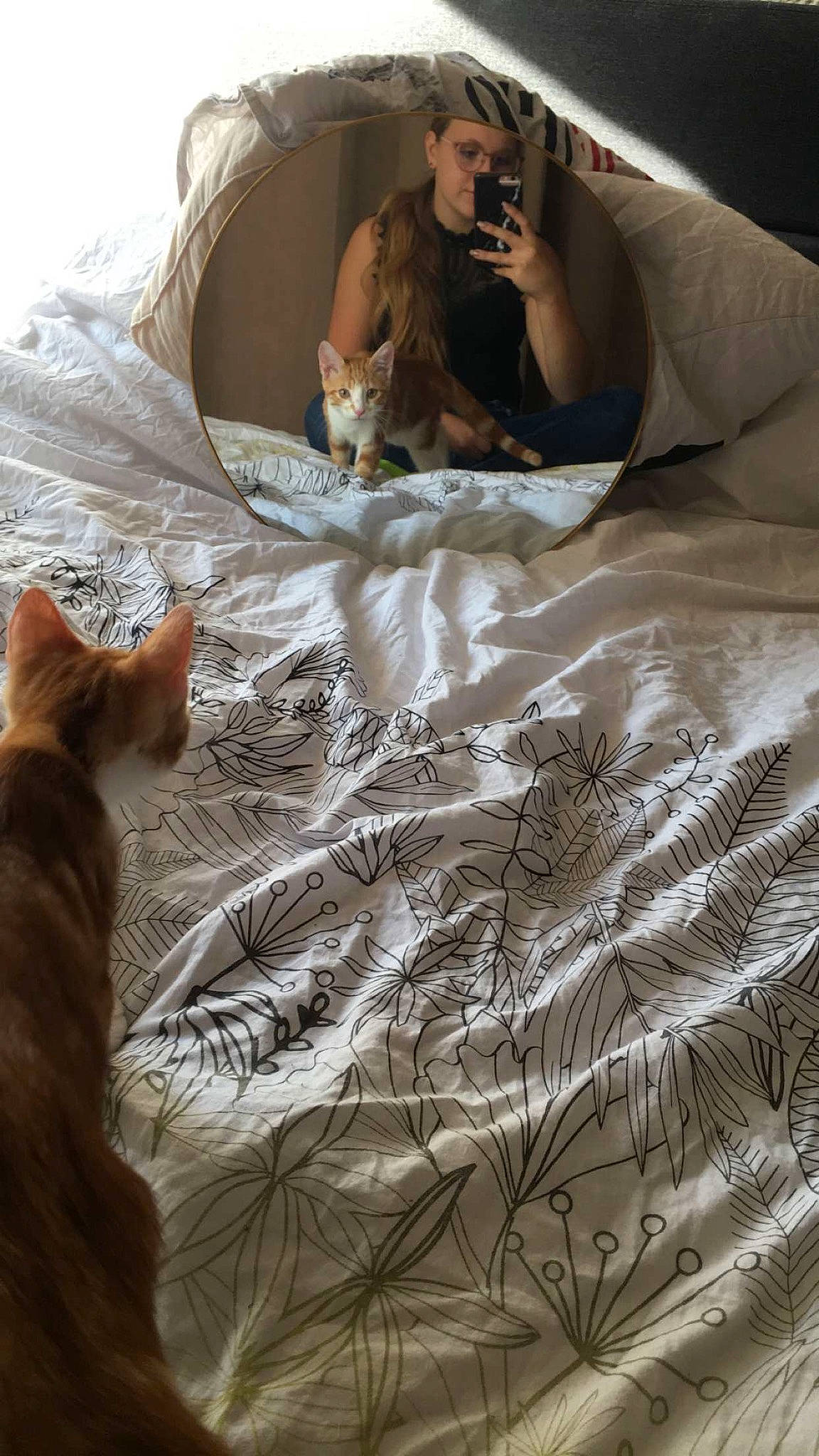 Cookie participe au concours pour gagner de l'argent avec cette photo : bed, bed_sheet, bedding, blanket, duvet, fur, linens, long_hair, photography, room, textile