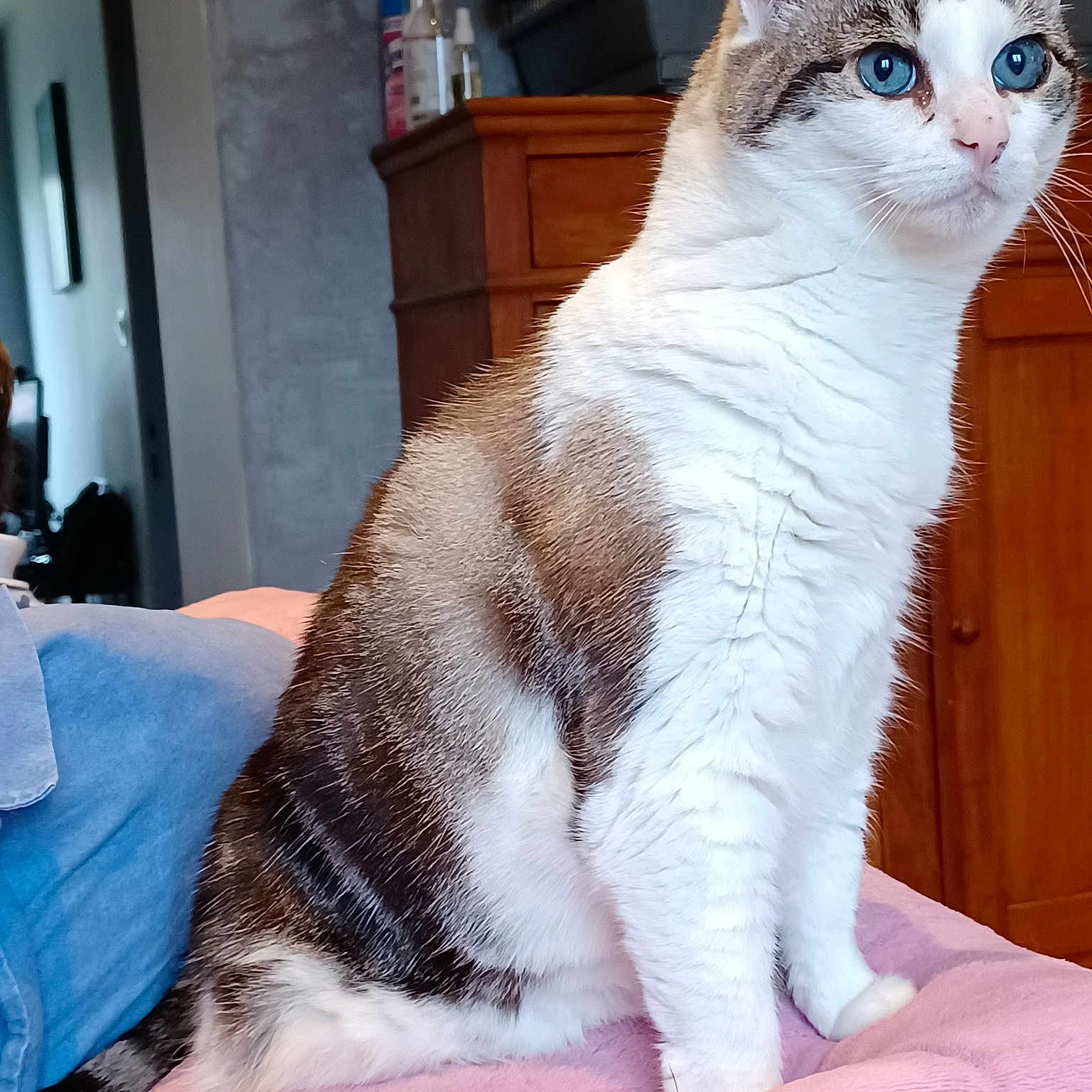 Soquette